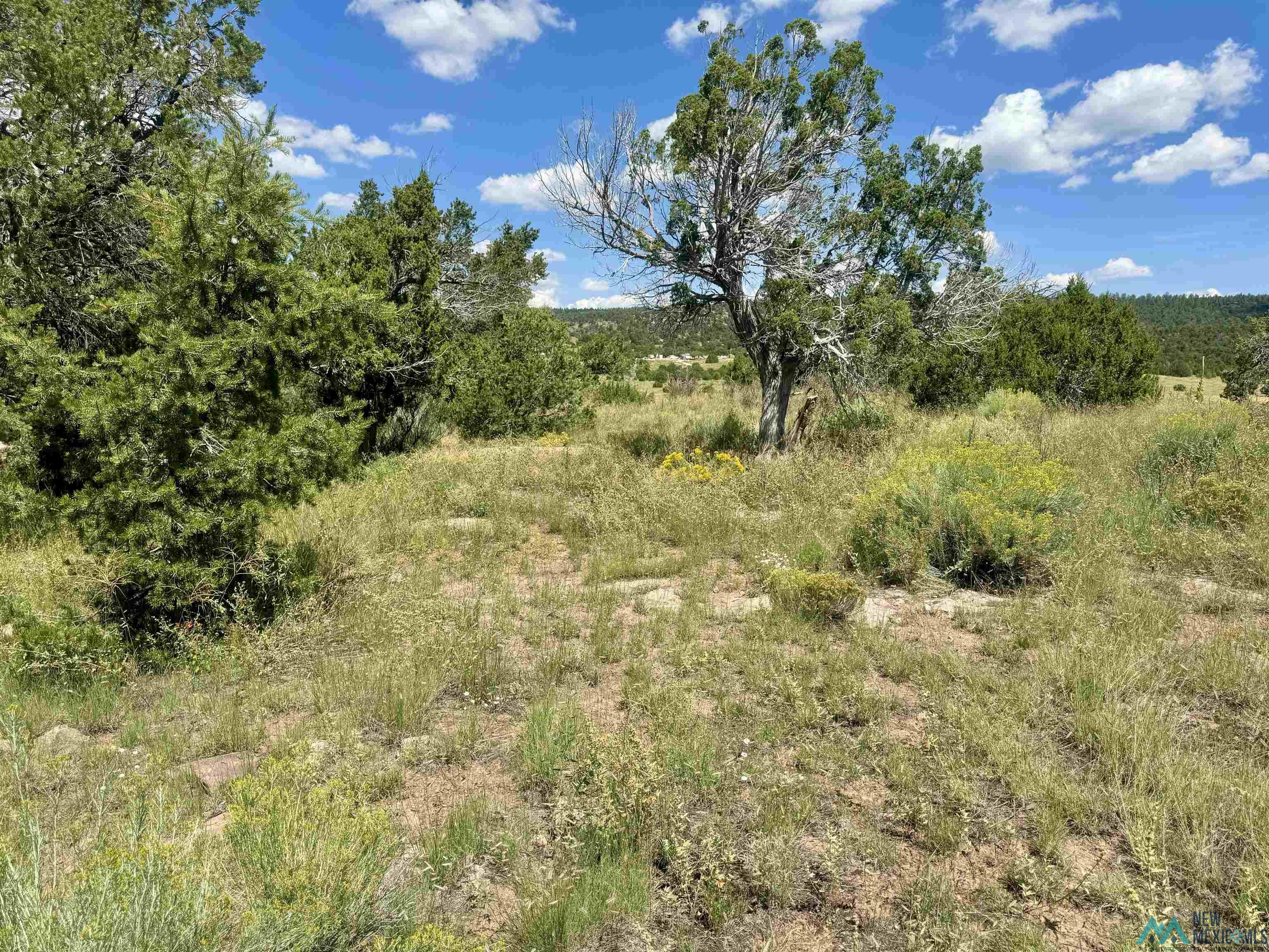 20 Road 6 Road, Ramah, New Mexico image 26