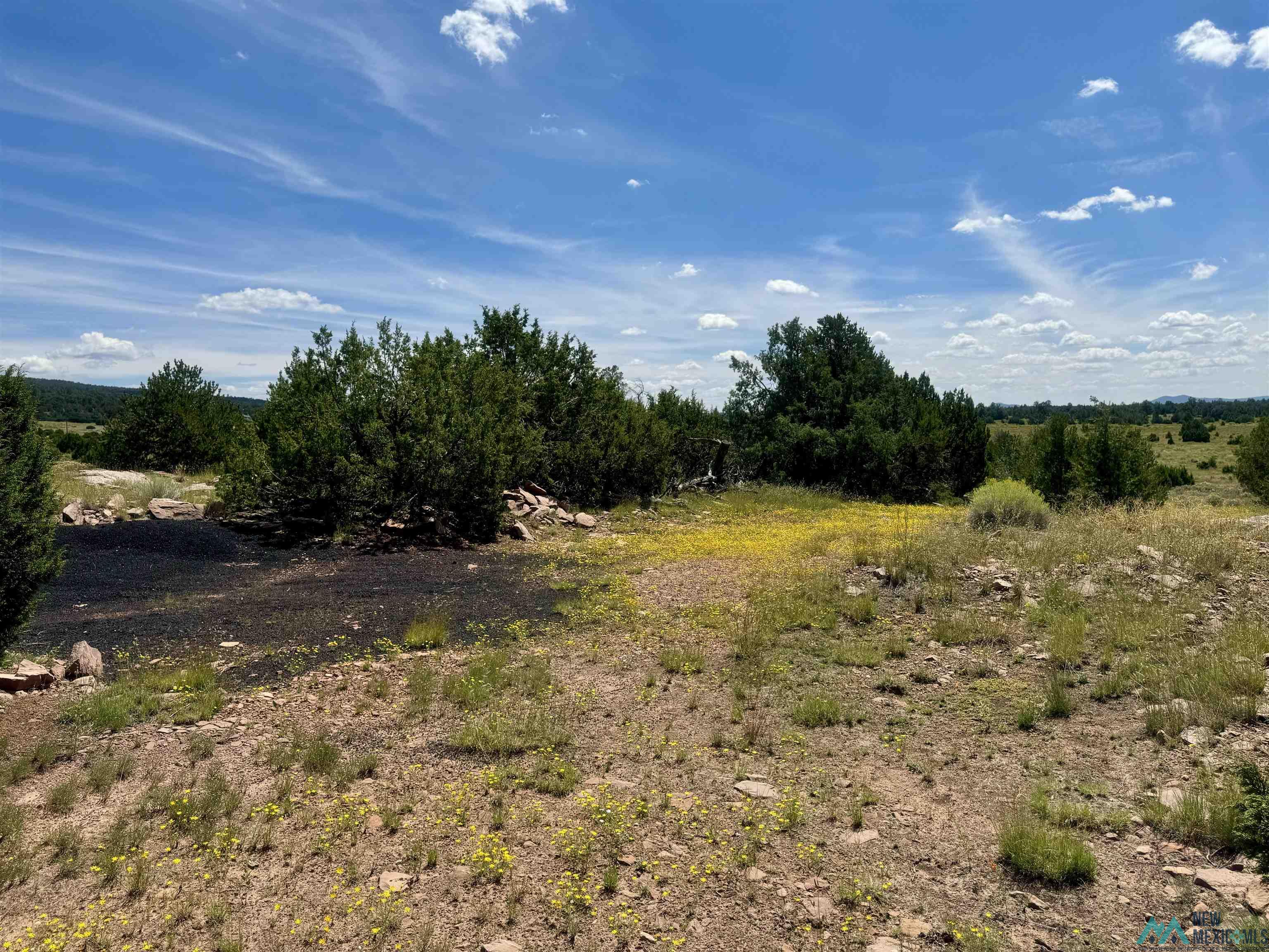 20 Road 6 Road, Ramah, New Mexico image 31