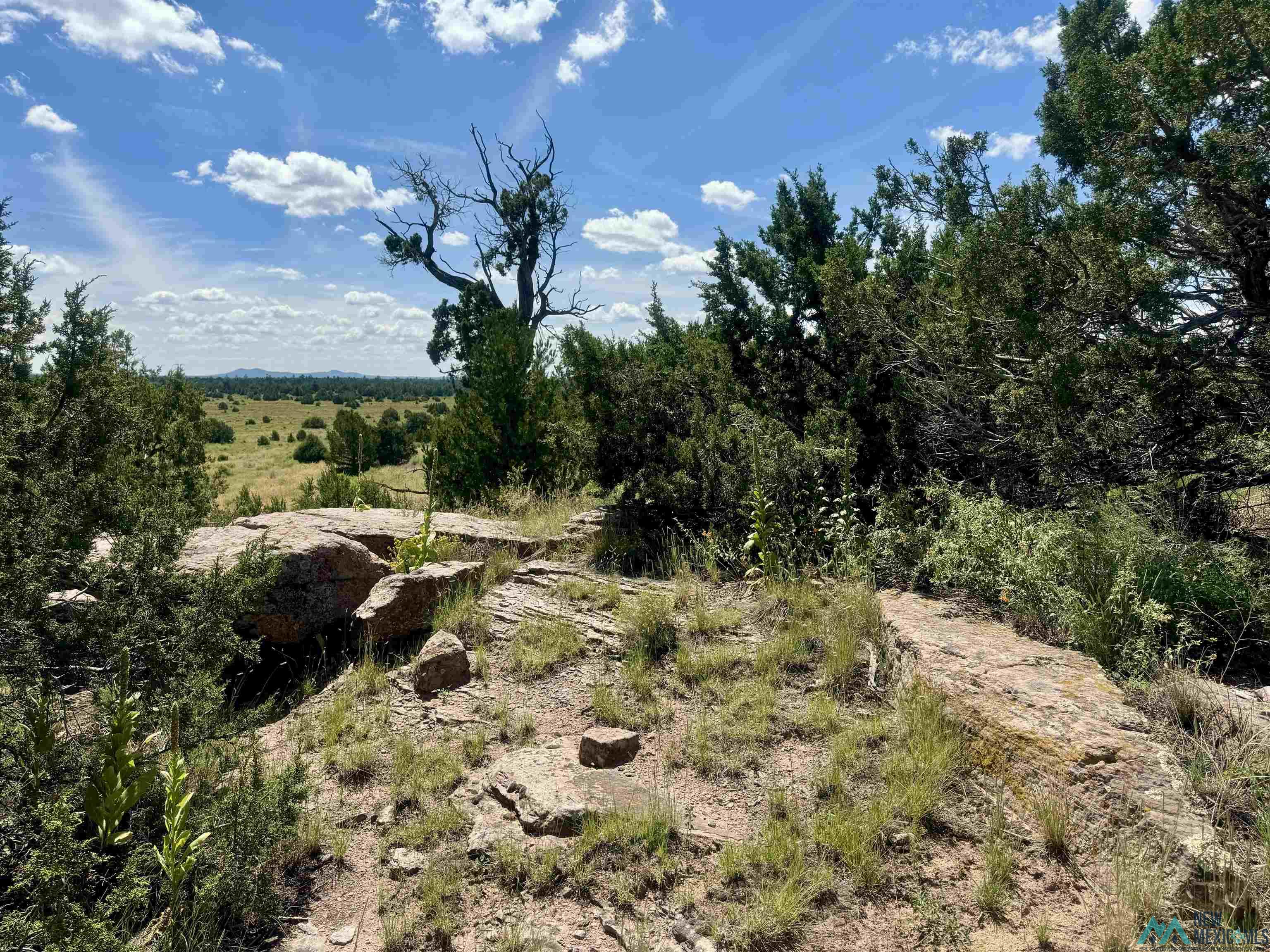 20 Road 6 Road, Ramah, New Mexico image 28