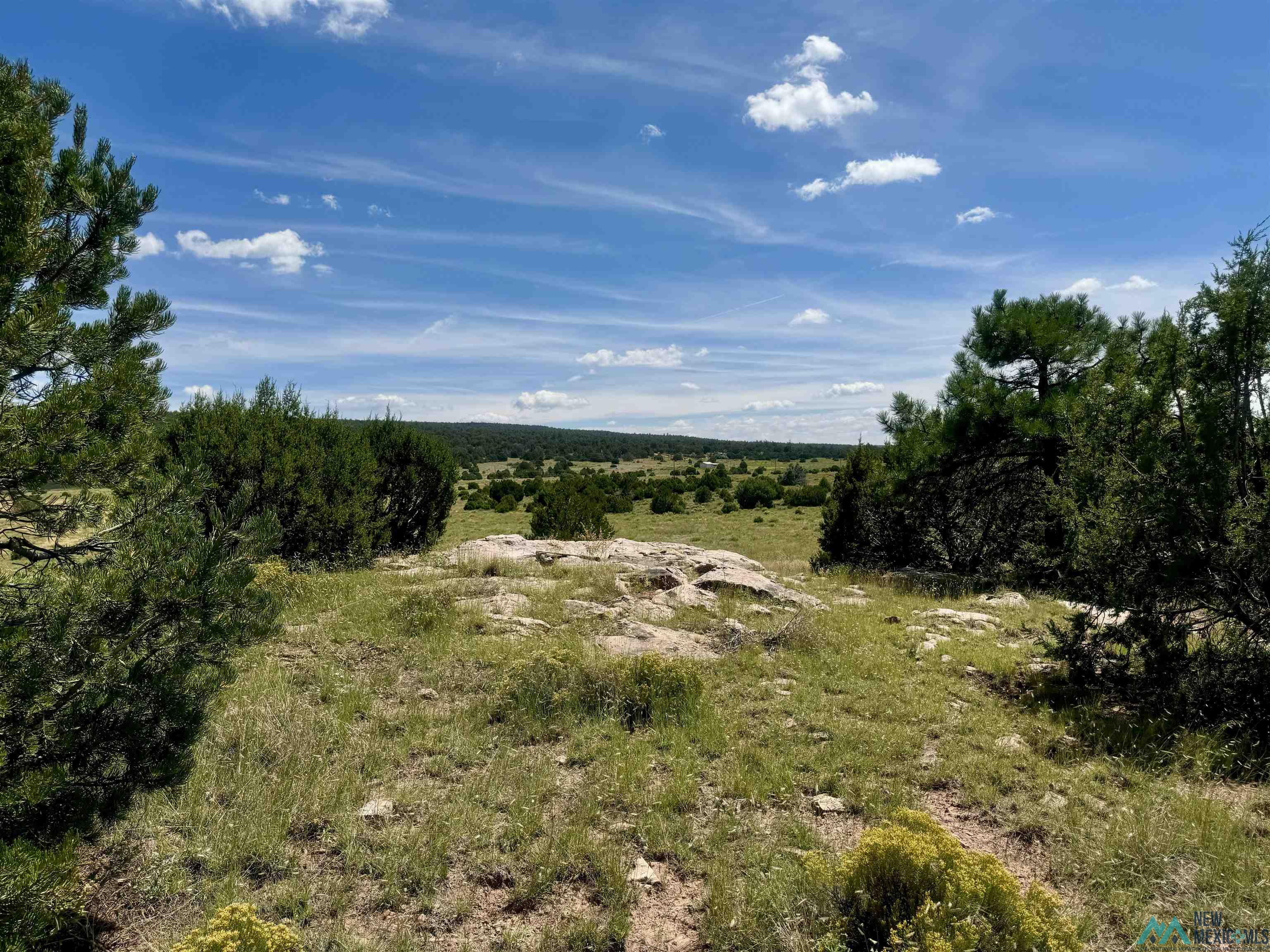 20 Road 6 Road, Ramah, New Mexico image 23