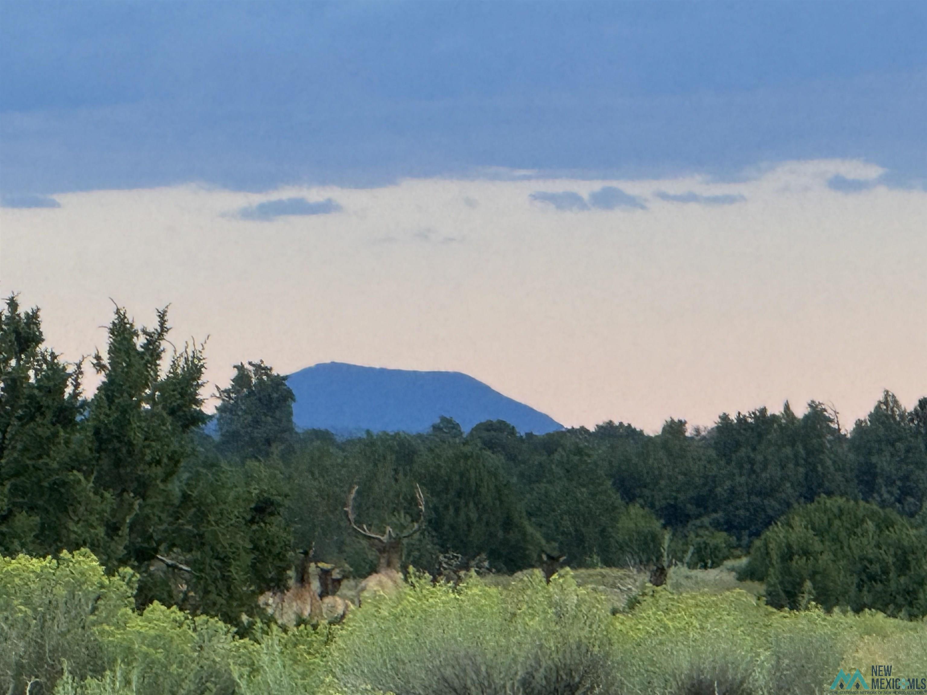 20 Road 6 Road, Ramah, New Mexico image 34