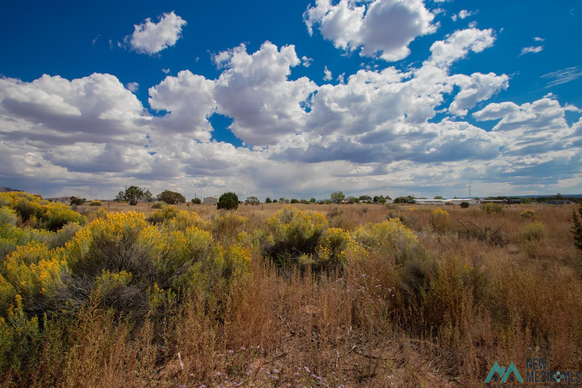 Lot 14 Calle Bonita Court, Thoreau, New Mexico image 2