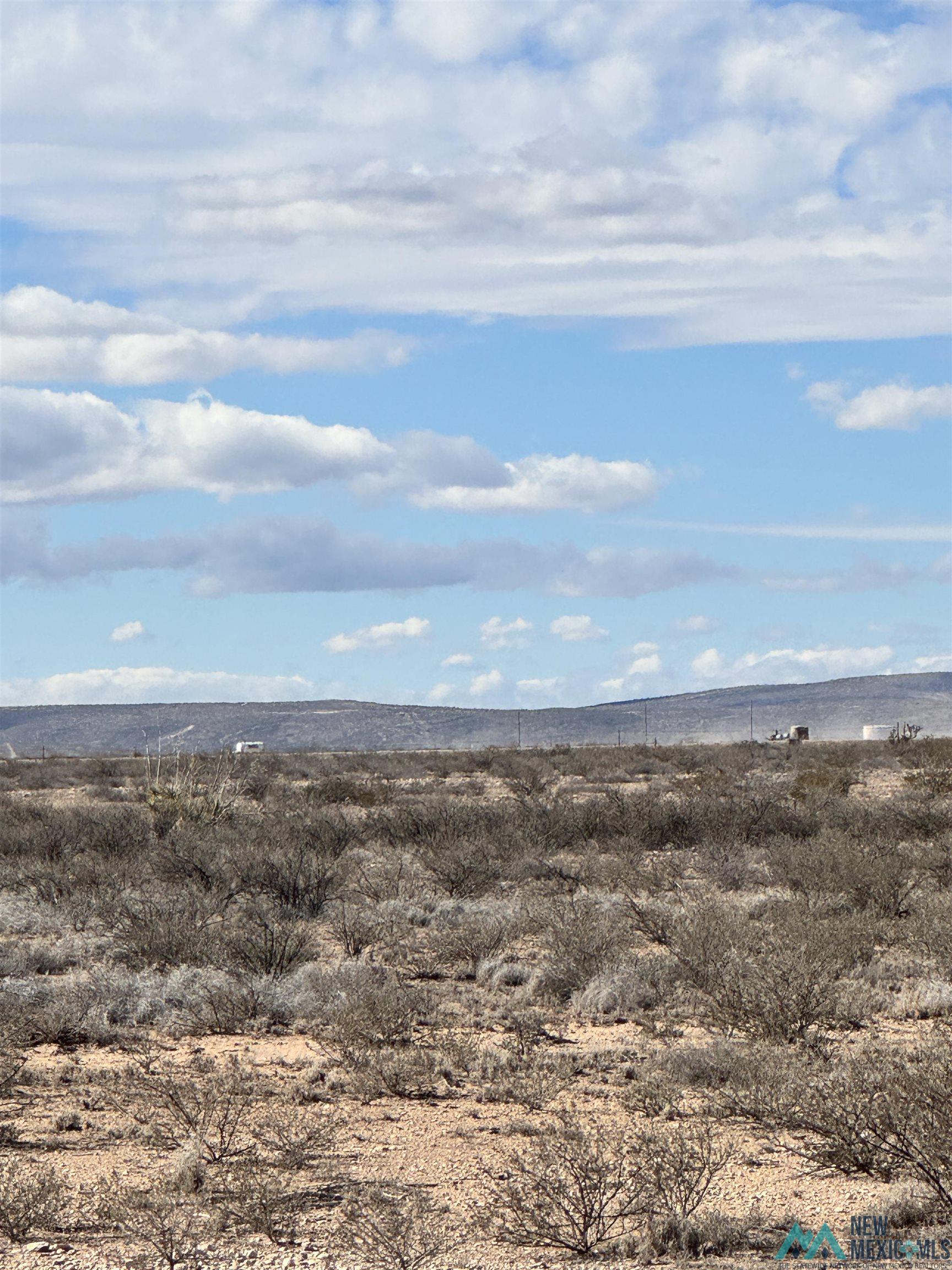 Lot 21B S Tagwood Lane, Carlsbad, New Mexico image 3