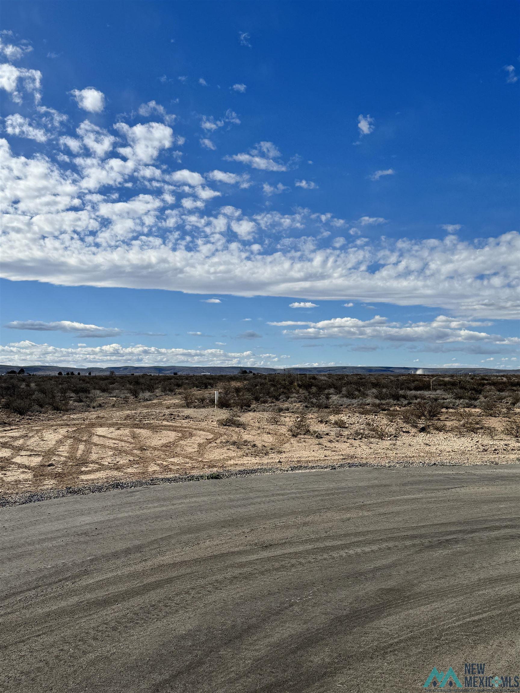 Lot 21B S Tagwood Lane, Carlsbad, New Mexico image 2