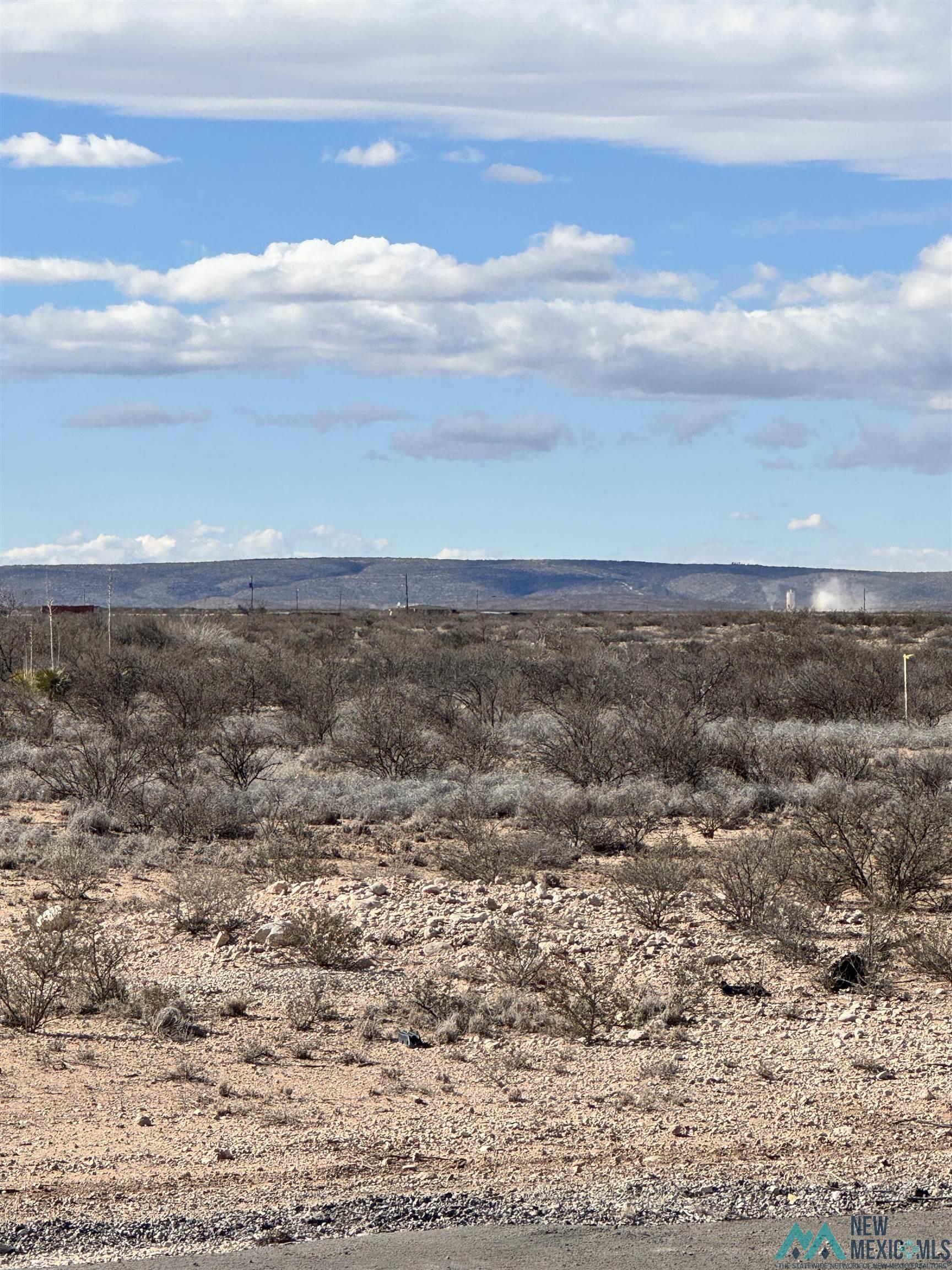 Lot 21B S Tagwood Lane, Carlsbad, New Mexico image 1