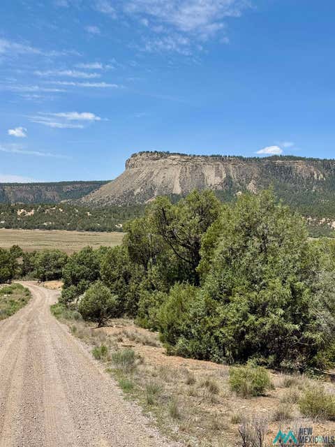 Vacant Land For Sale - TBD Cedar Circle<br/> Rio Arriba County, Los Ojos, NM 87575