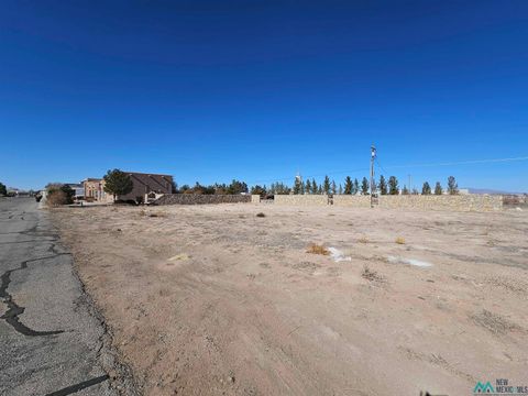 Vacant Land For Sale - 2889 E Water Hazard Road<br/> Luna County, Deming, NM 88030