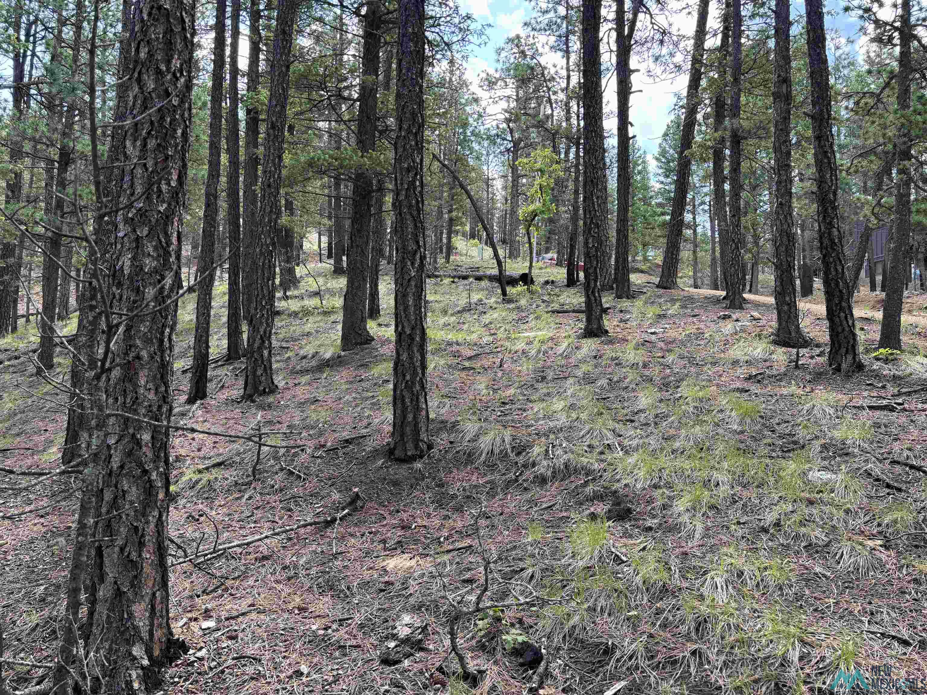 2166 W Lot 24 Camino Facil Drive, Rociada, Texas image 2