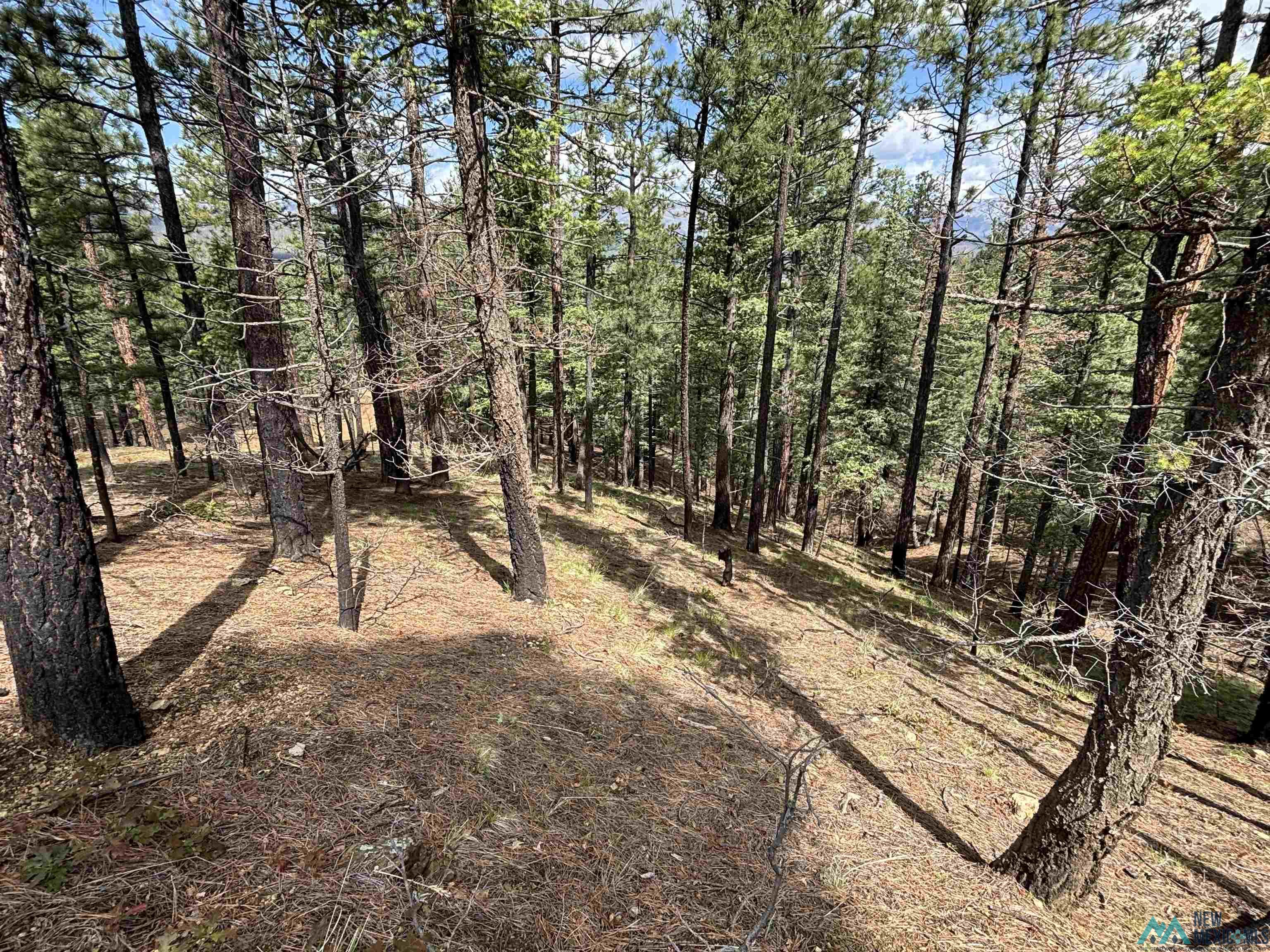 2166 W Lot 24 Camino Facil Drive, Rociada, Texas image 7