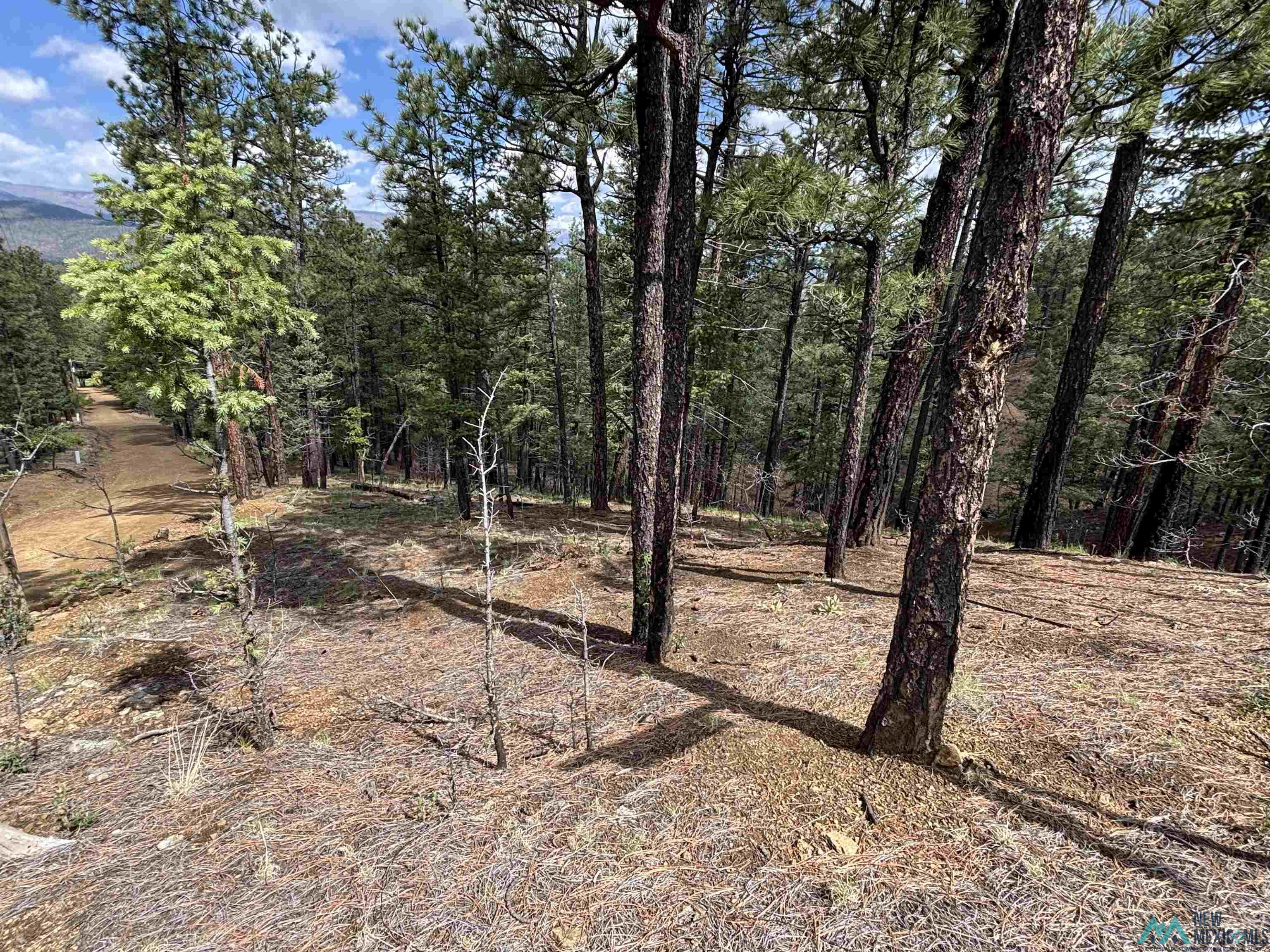 2166 W Lot 24 Camino Facil Drive, Rociada, Texas image 8