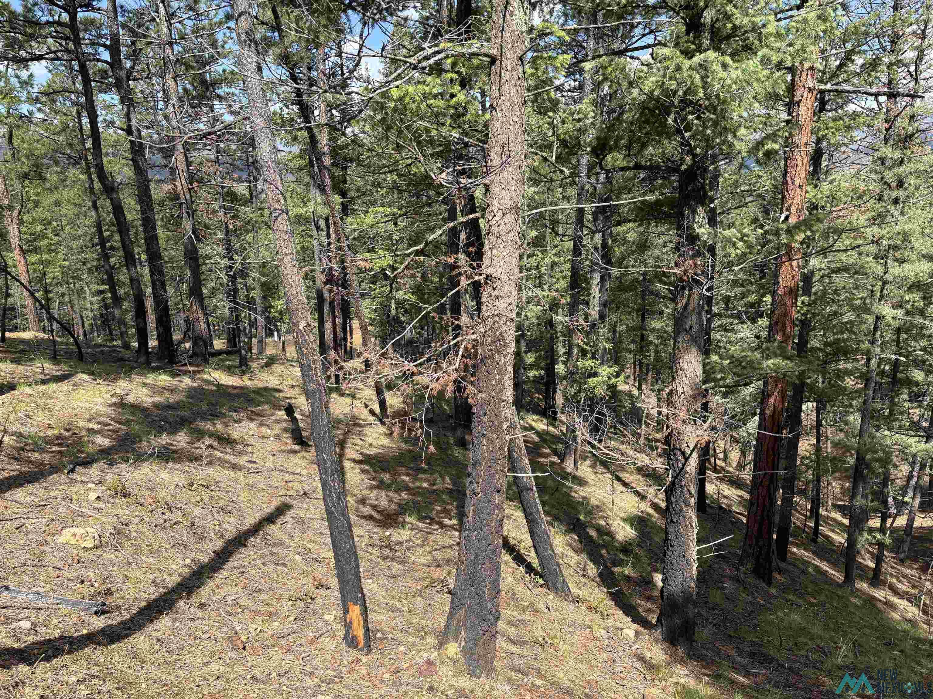 2166 W Lot 24 Camino Facil Drive, Rociada, Texas image 5