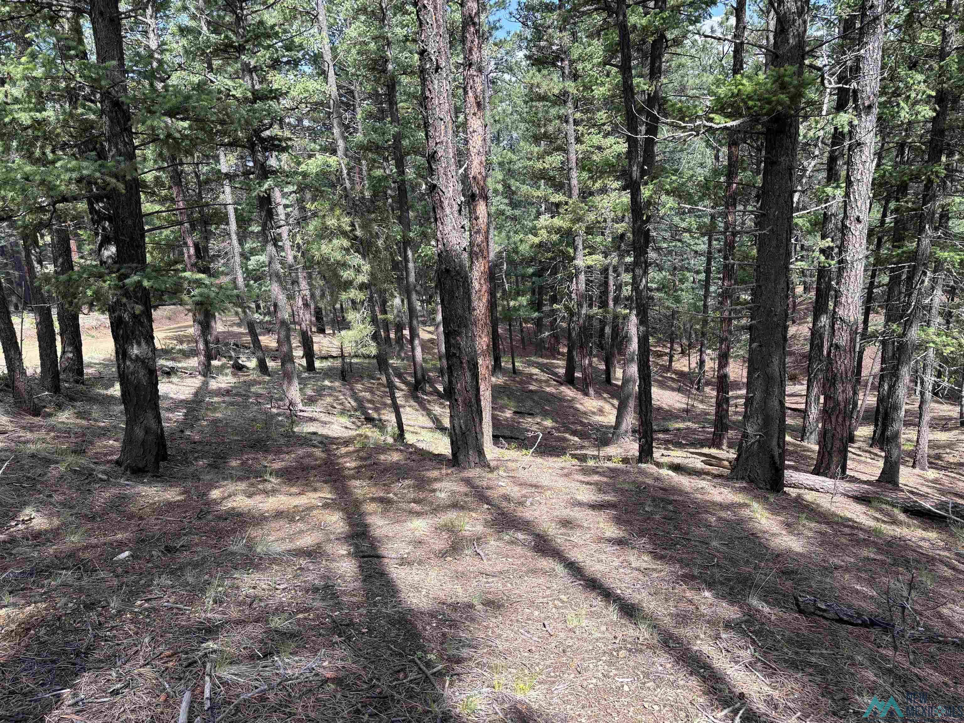 2166 W Lot 24 Camino Facil Drive, Rociada, Texas image 3