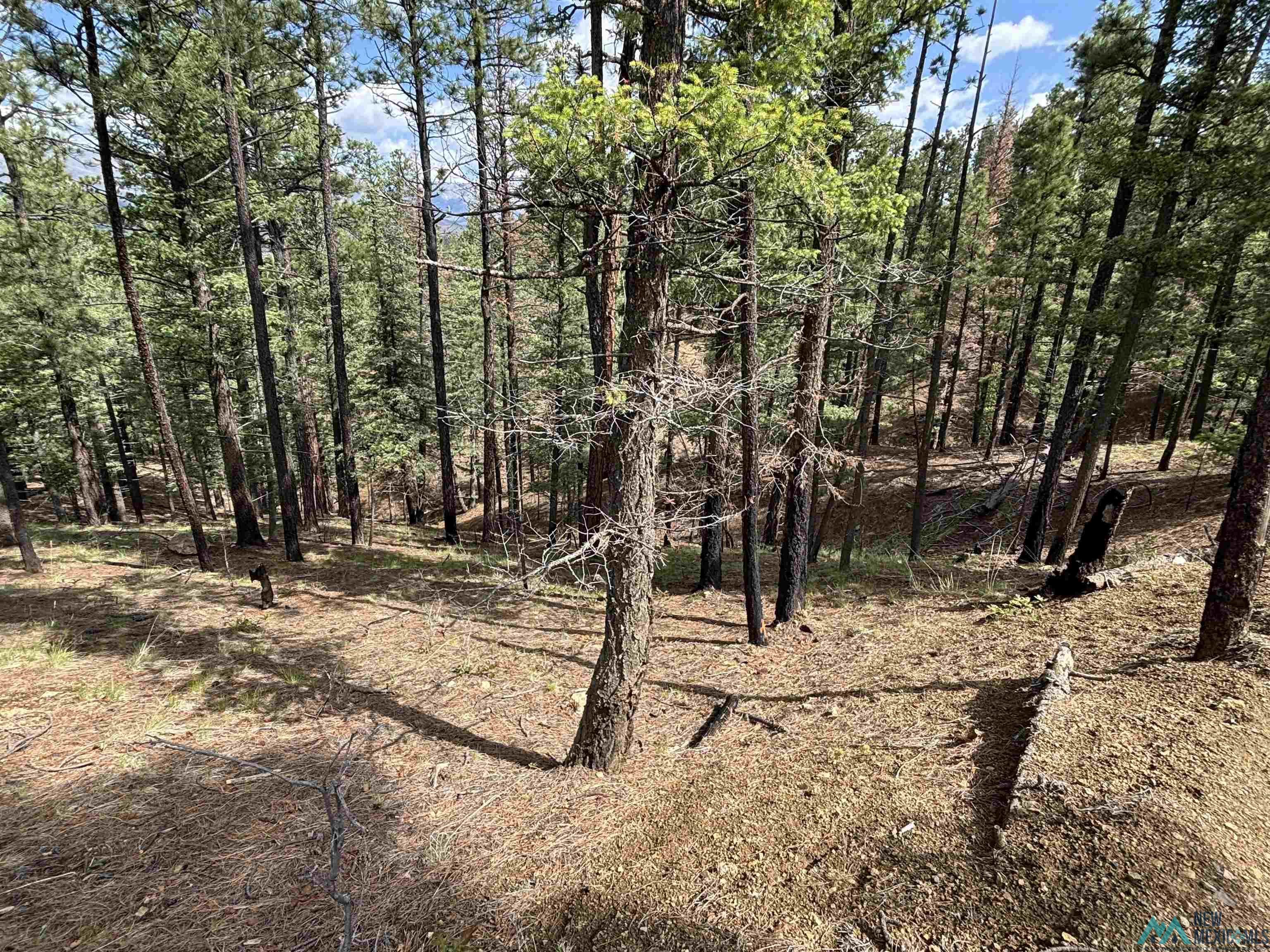 2166 W Lot 24 Camino Facil Drive, Rociada, Texas image 6