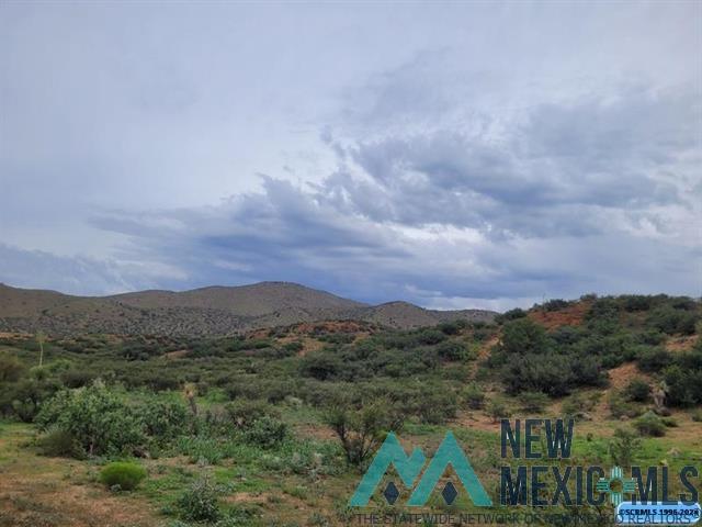 XX Burro Road, Silver City, New Mexico image 13