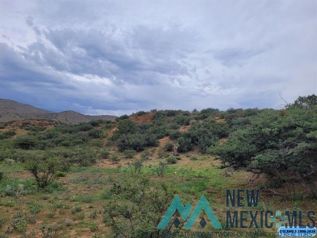 XX Burro Road, Silver City, New Mexico image 12