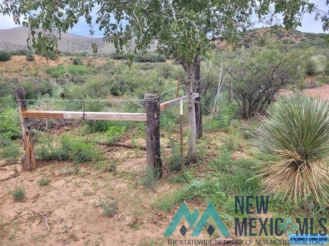 XX Burro Road, Silver City, New Mexico image 1