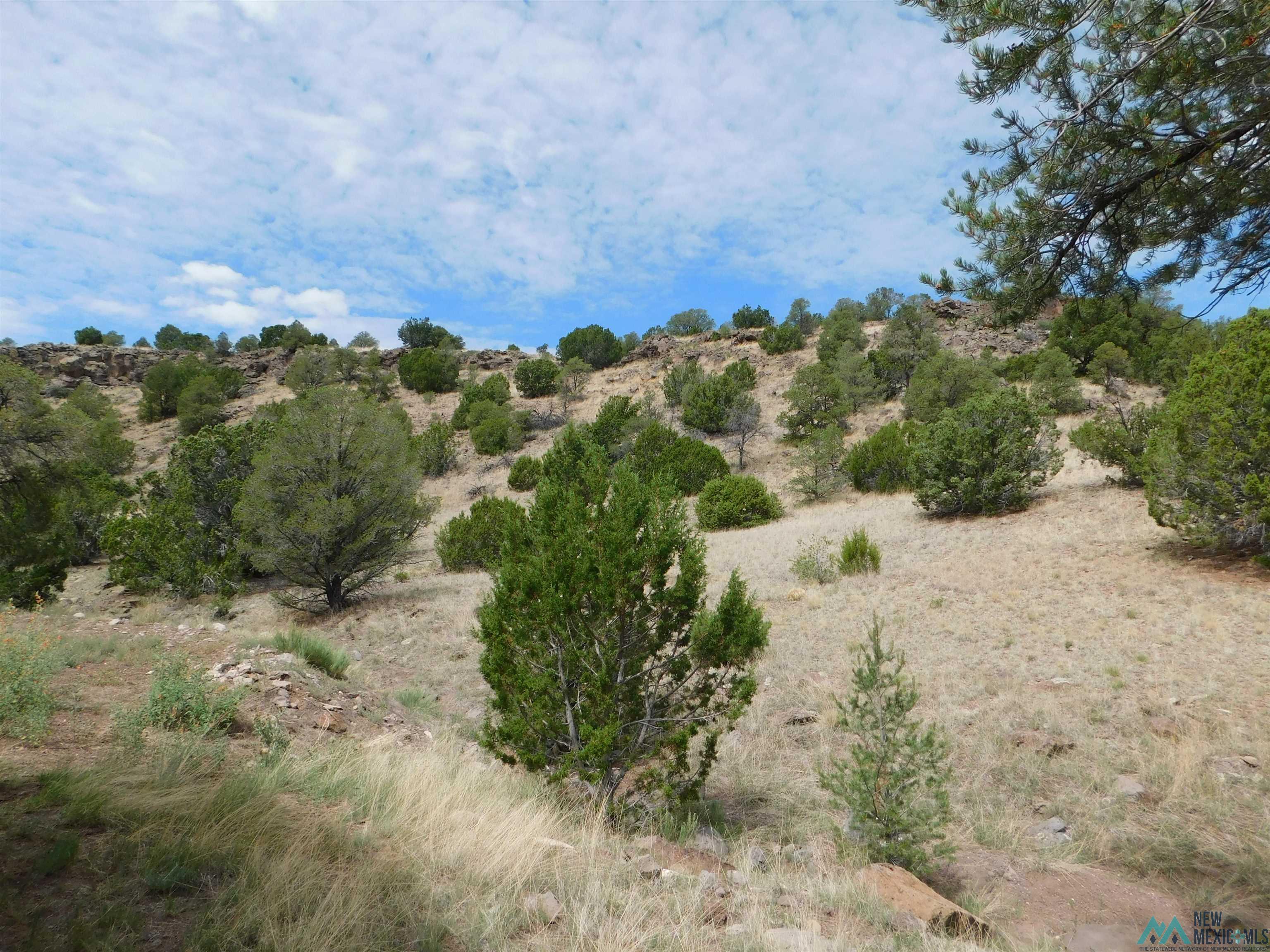 28 Cowboy Pass, Quemado, Texas image 18