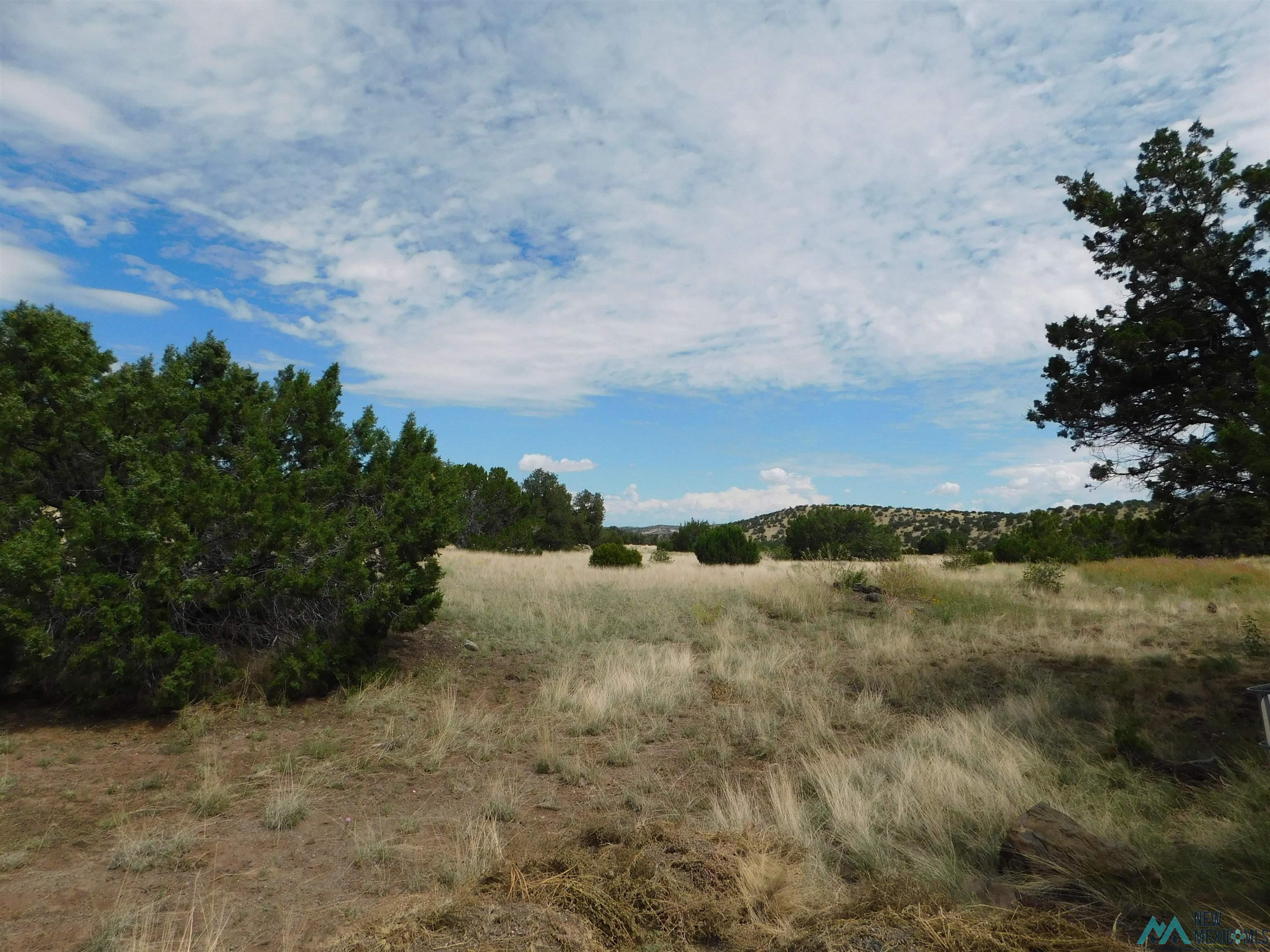 28 Cowboy Pass, Quemado, Texas image 20