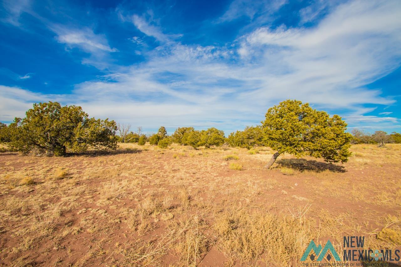 Lot 2 Seewald Estates, Thoreau, New Mexico image 1