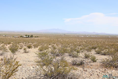 Vacant Land For Sale - Tamarack Rd Se<br/> Deming, NM 88030