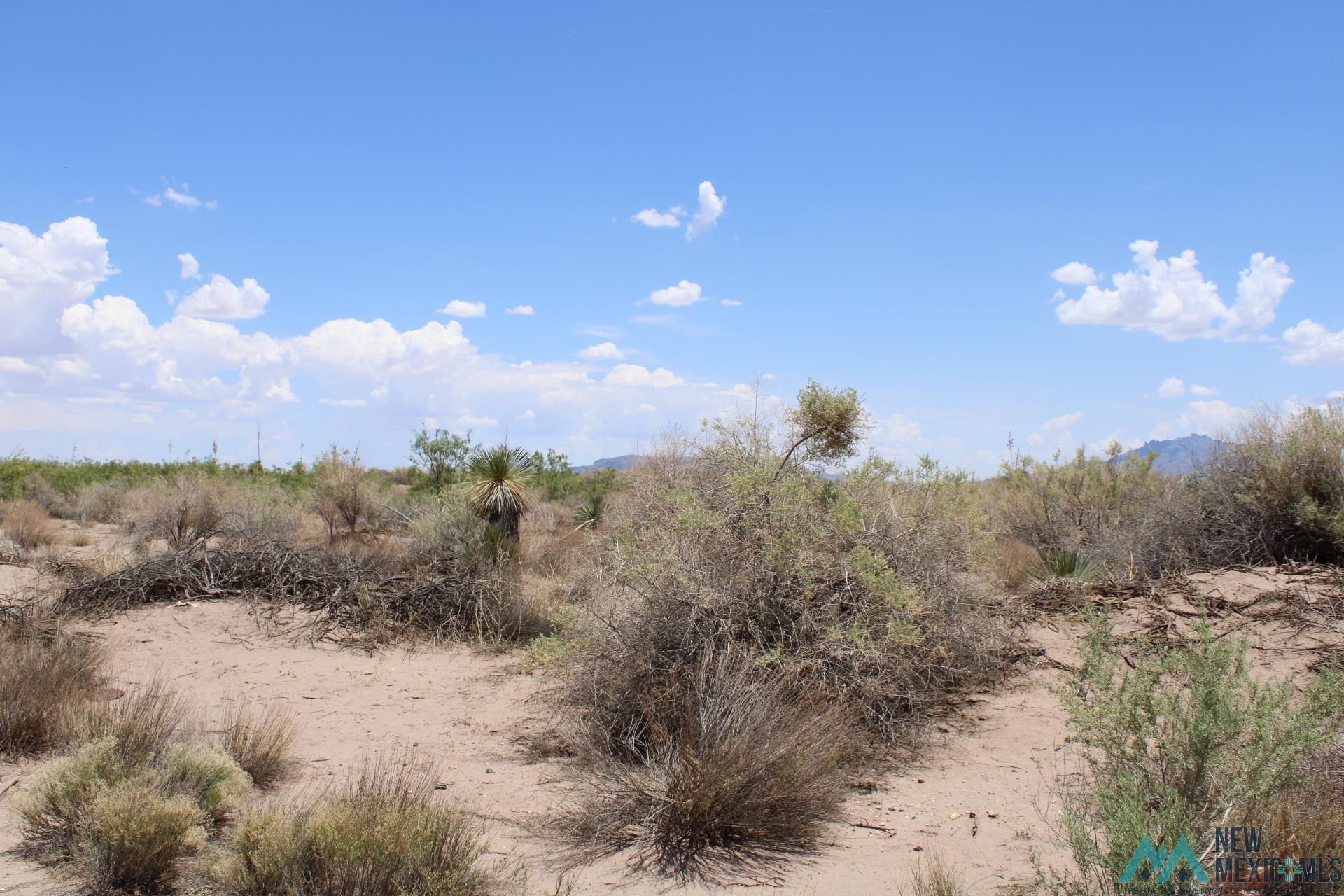 Tomorrow Land Estates, Deming, New Mexico image 3