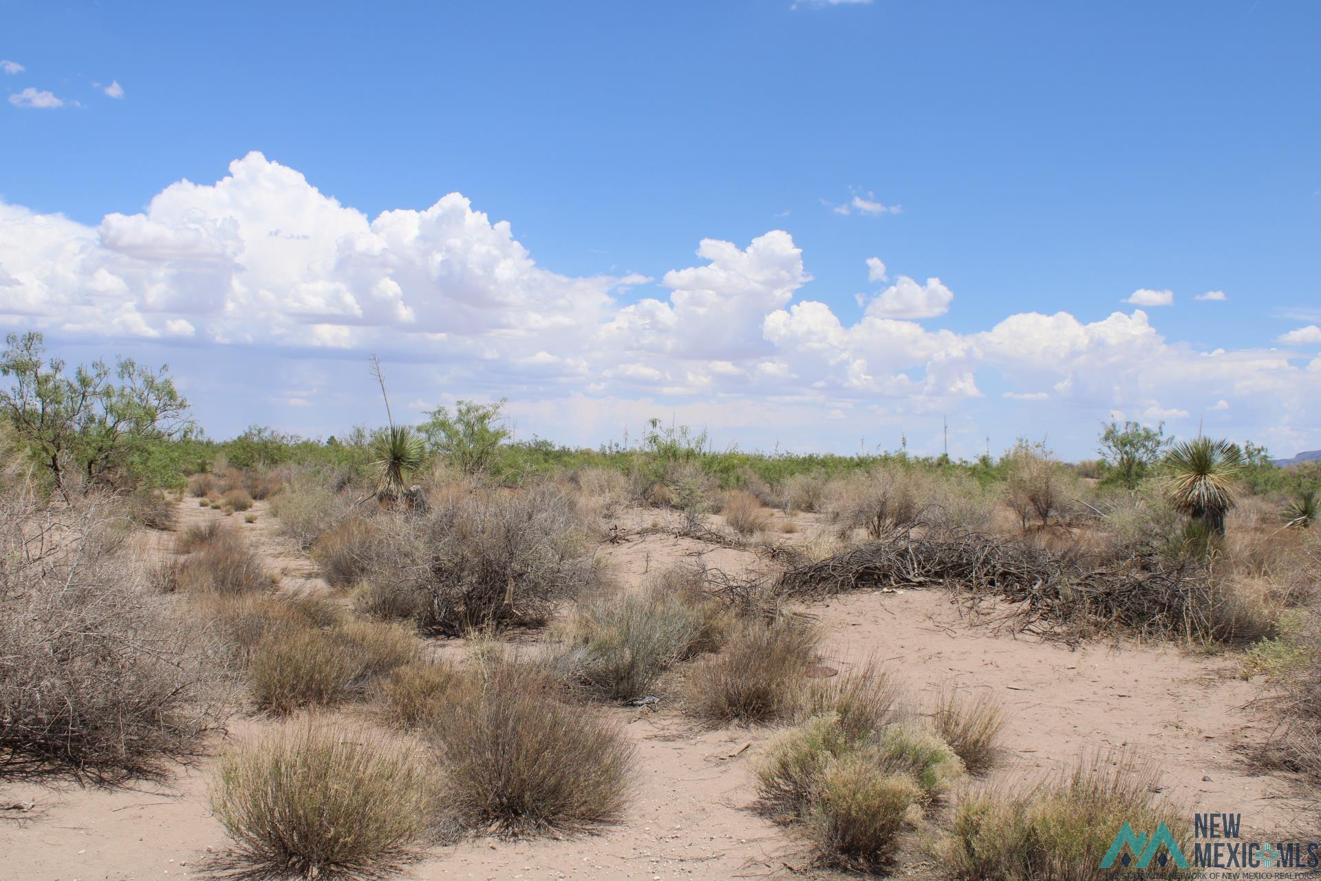 Tomorrow Land Estates, Deming, New Mexico image 2