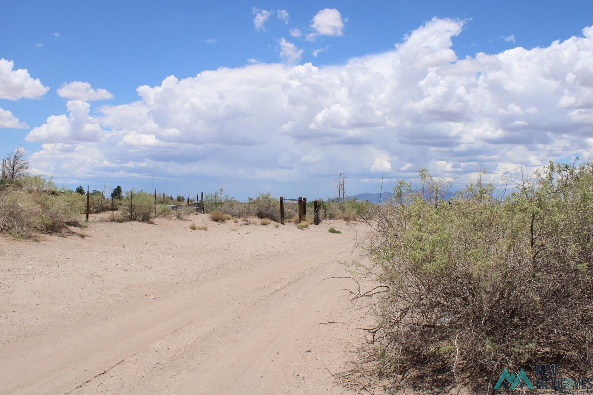 Tomorrow Land Estates, Deming, New Mexico image 4