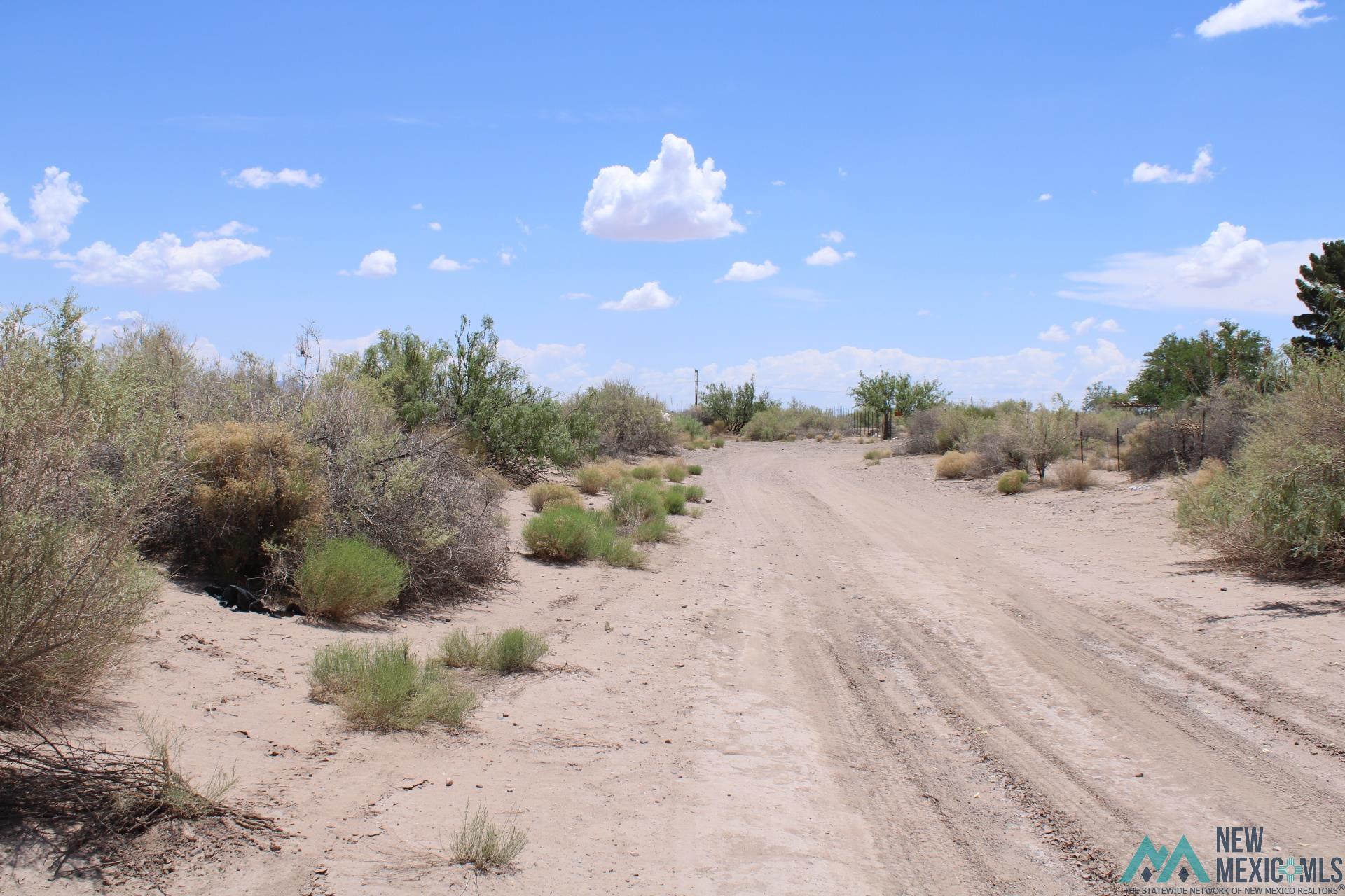 Tomorrow Land Estates, Deming, New Mexico image 5