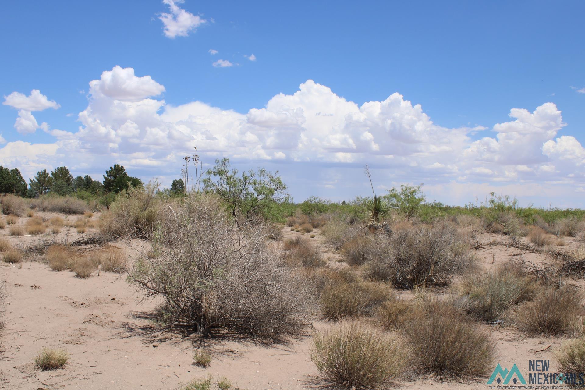 Tomorrow Land Estates, Deming, New Mexico image 1