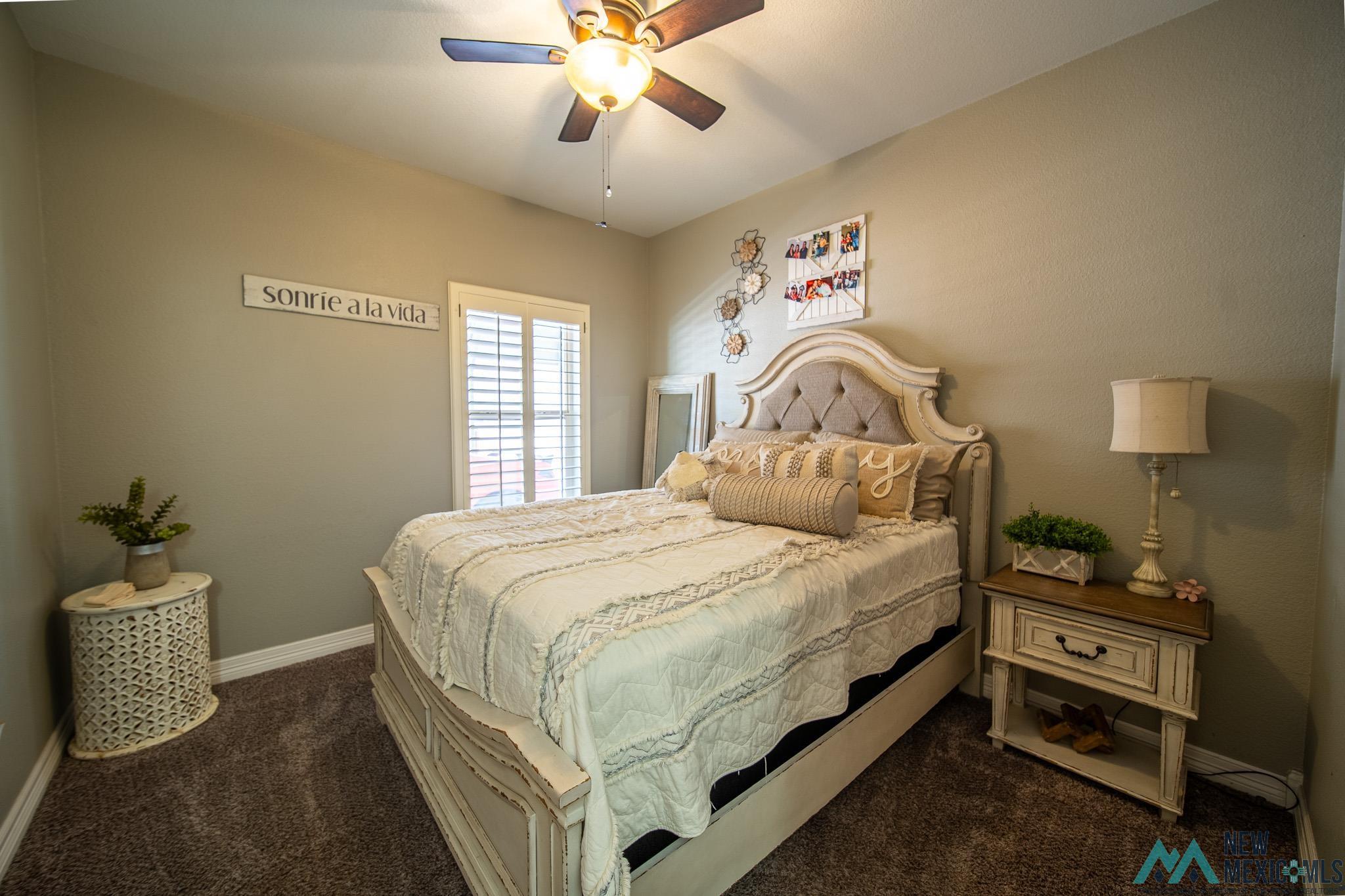 210 Goin Home Court, Carlsbad, New Mexico image 22