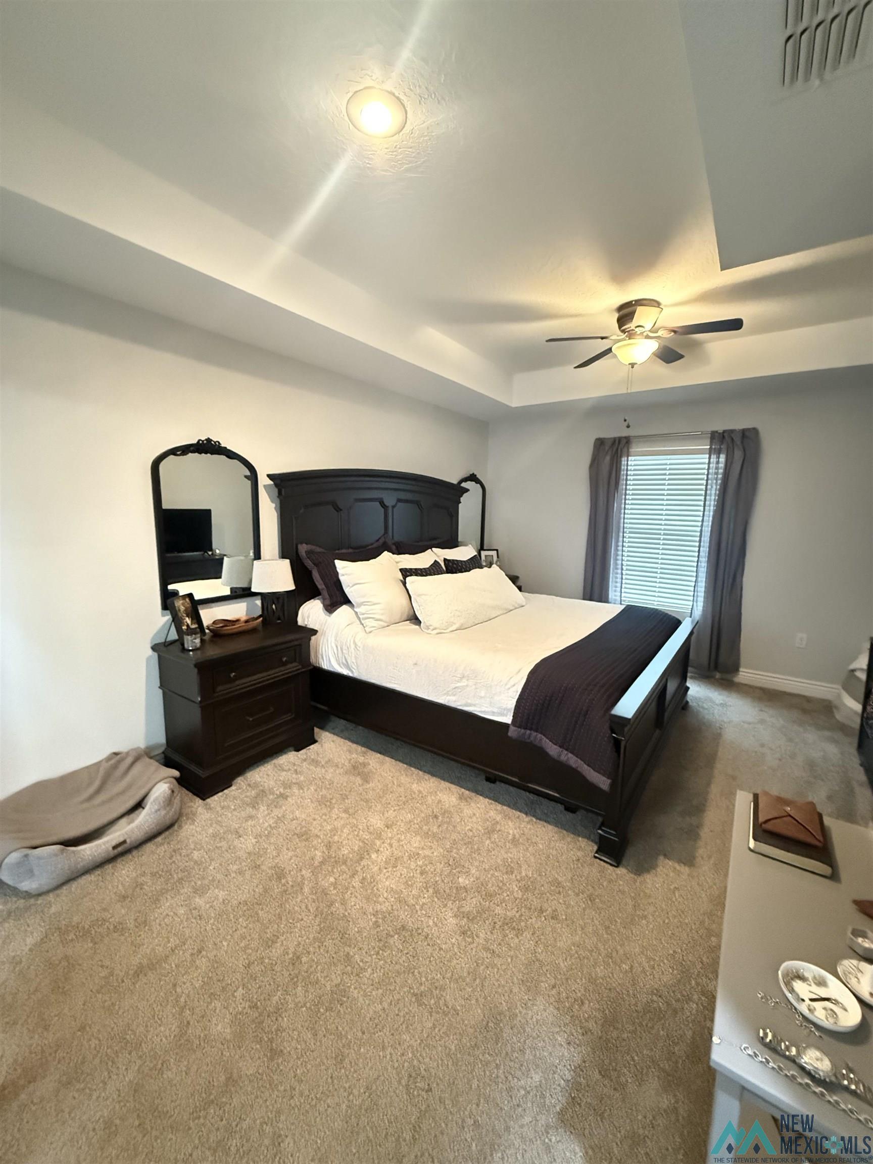 520 Almond Tree Lane, Clovis, New Mexico image 14