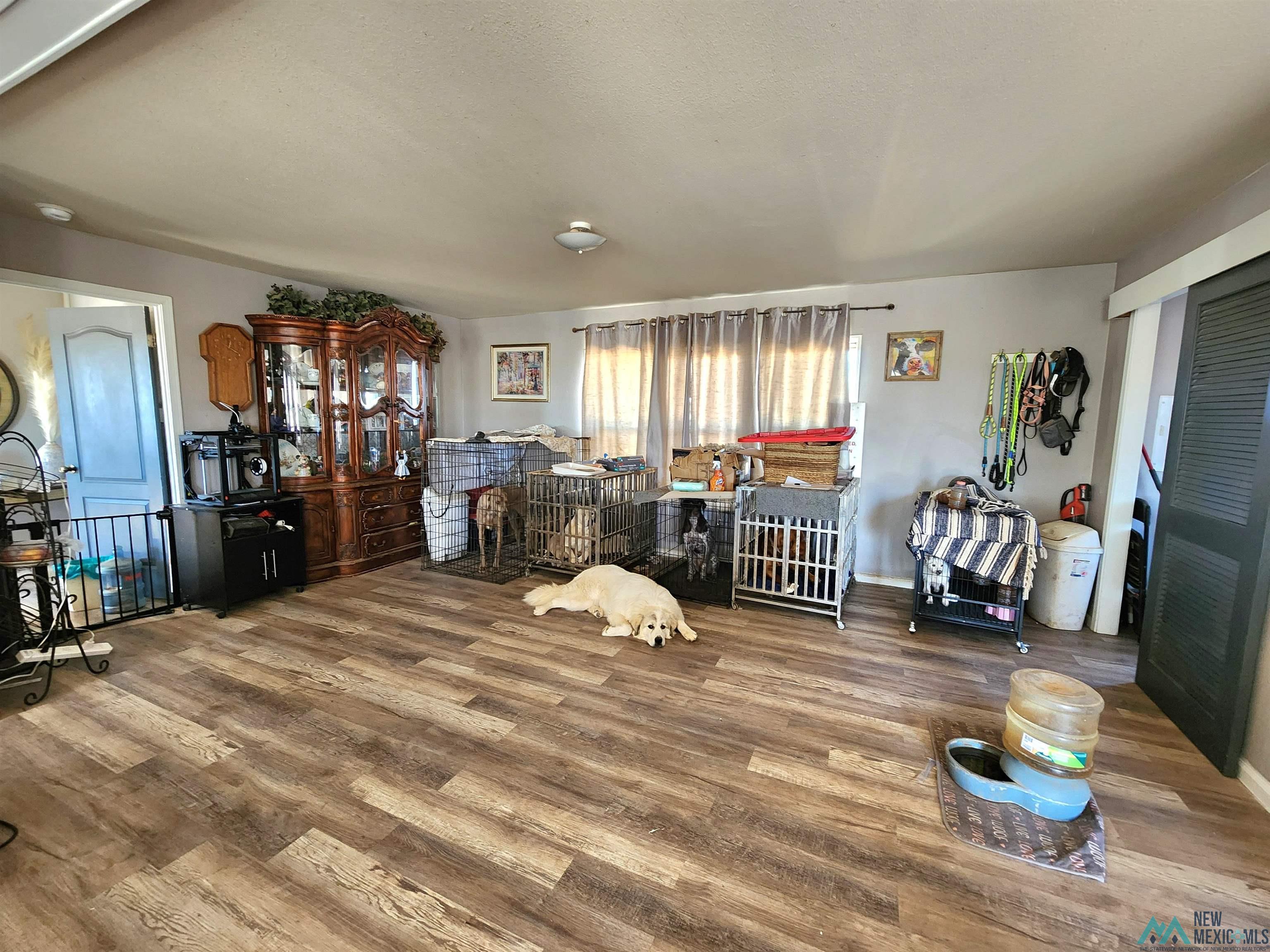 1769 St. Johns Road, Quemado, New Mexico image 11