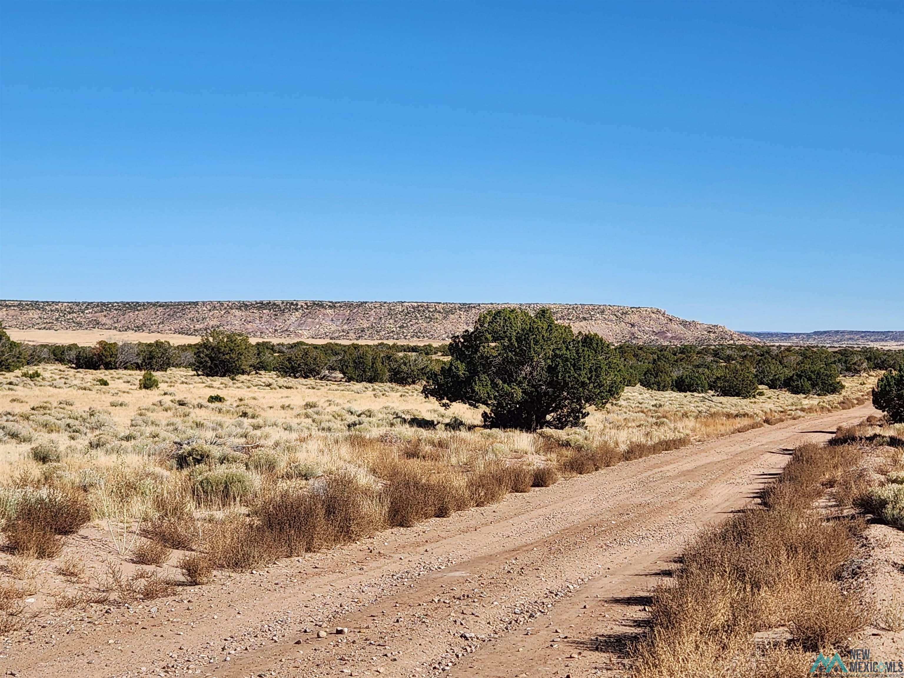1769 St. Johns Road, Quemado, New Mexico image 47