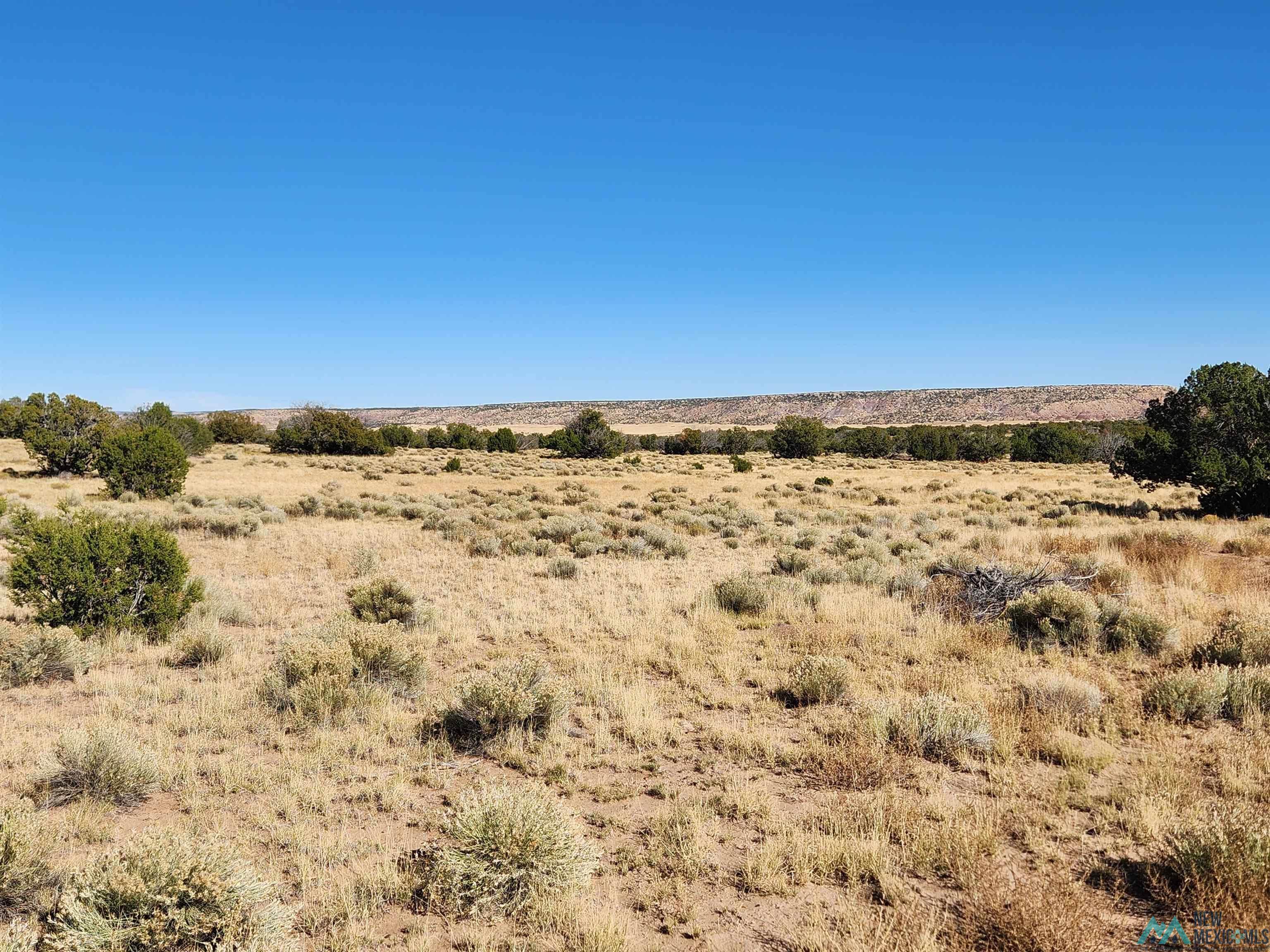 1769 St. Johns Road, Quemado, New Mexico image 48