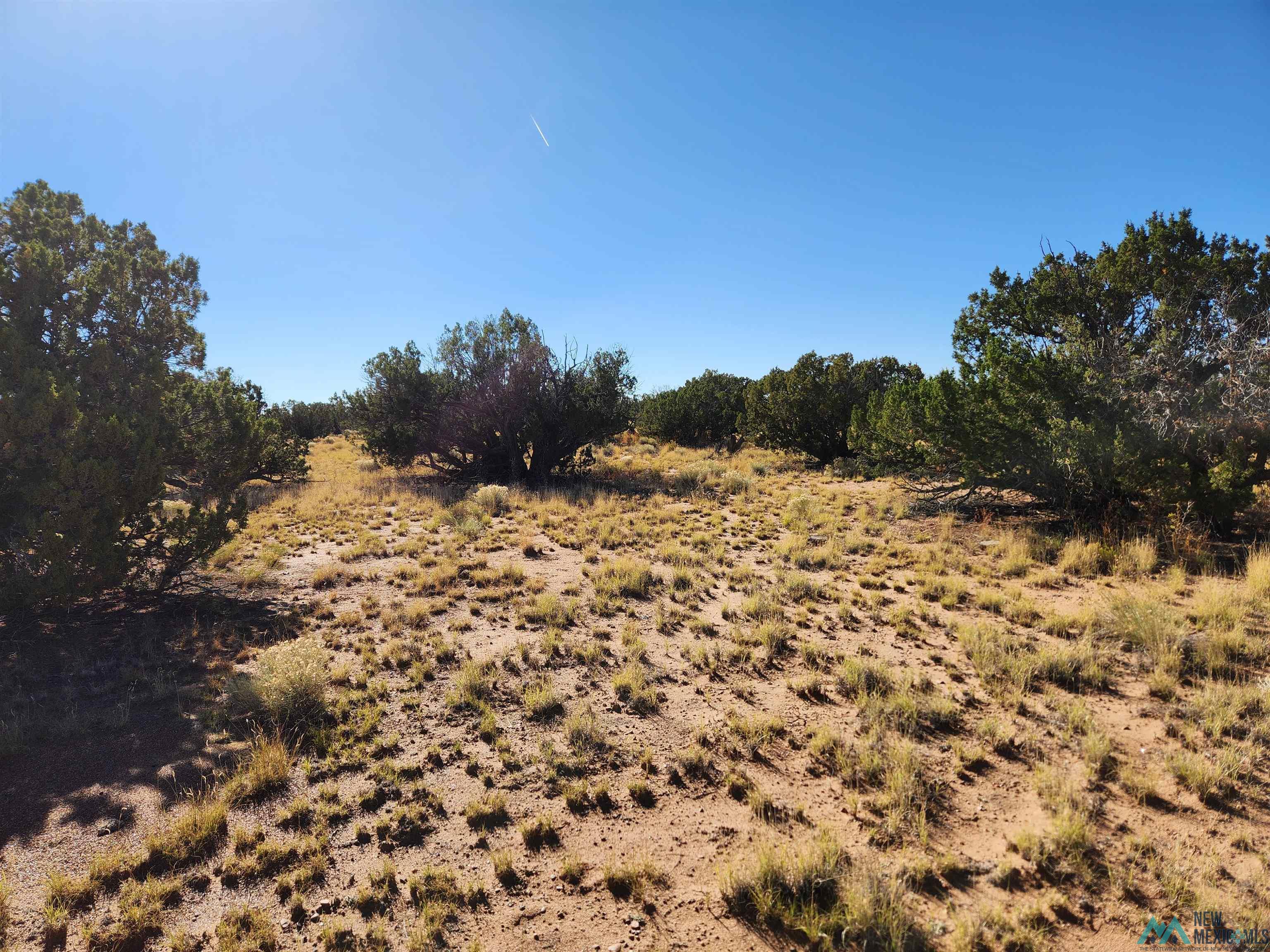 1769 St. Johns Road, Quemado, New Mexico image 50