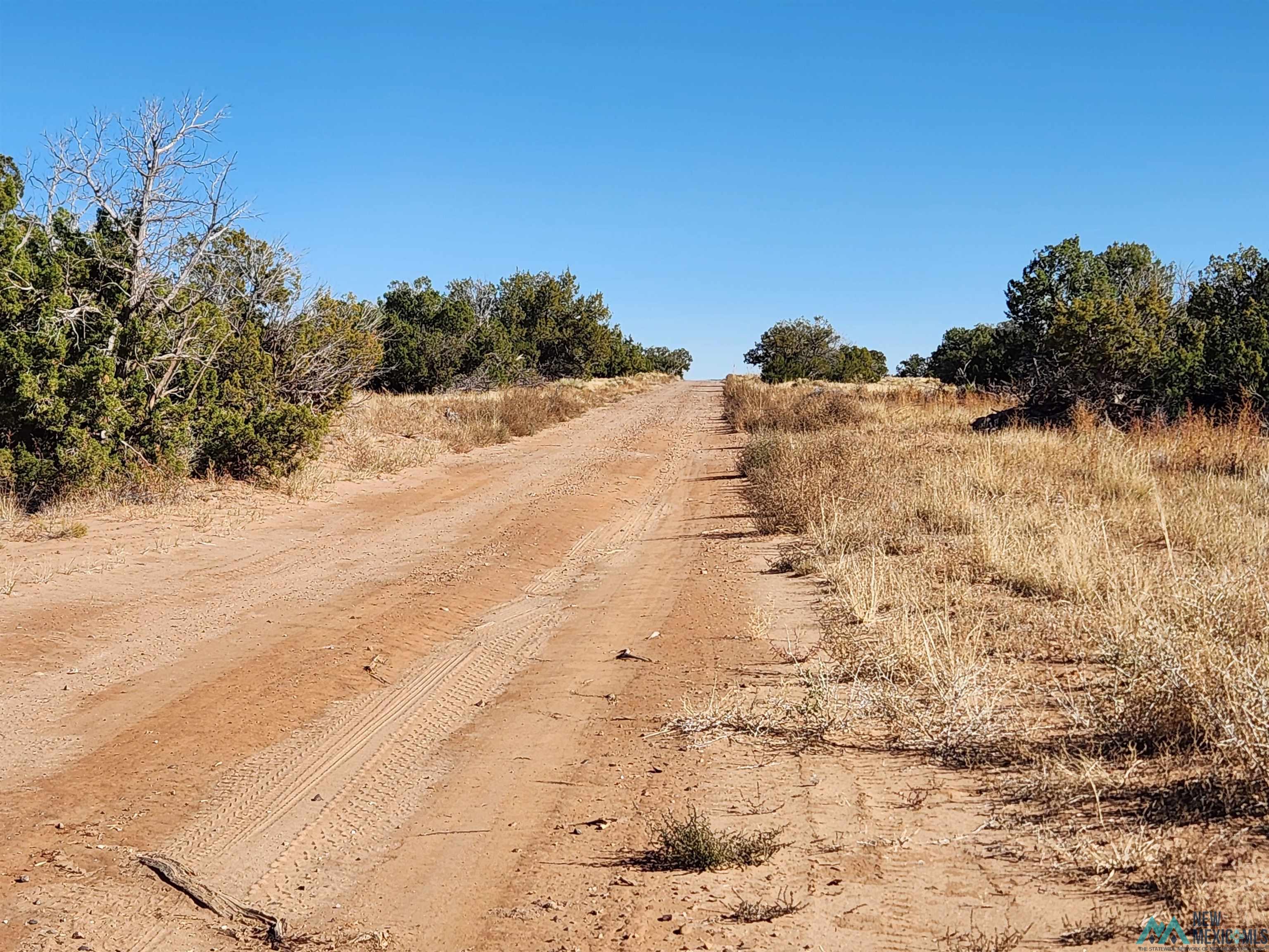 1769 St. Johns Road, Quemado, New Mexico image 44