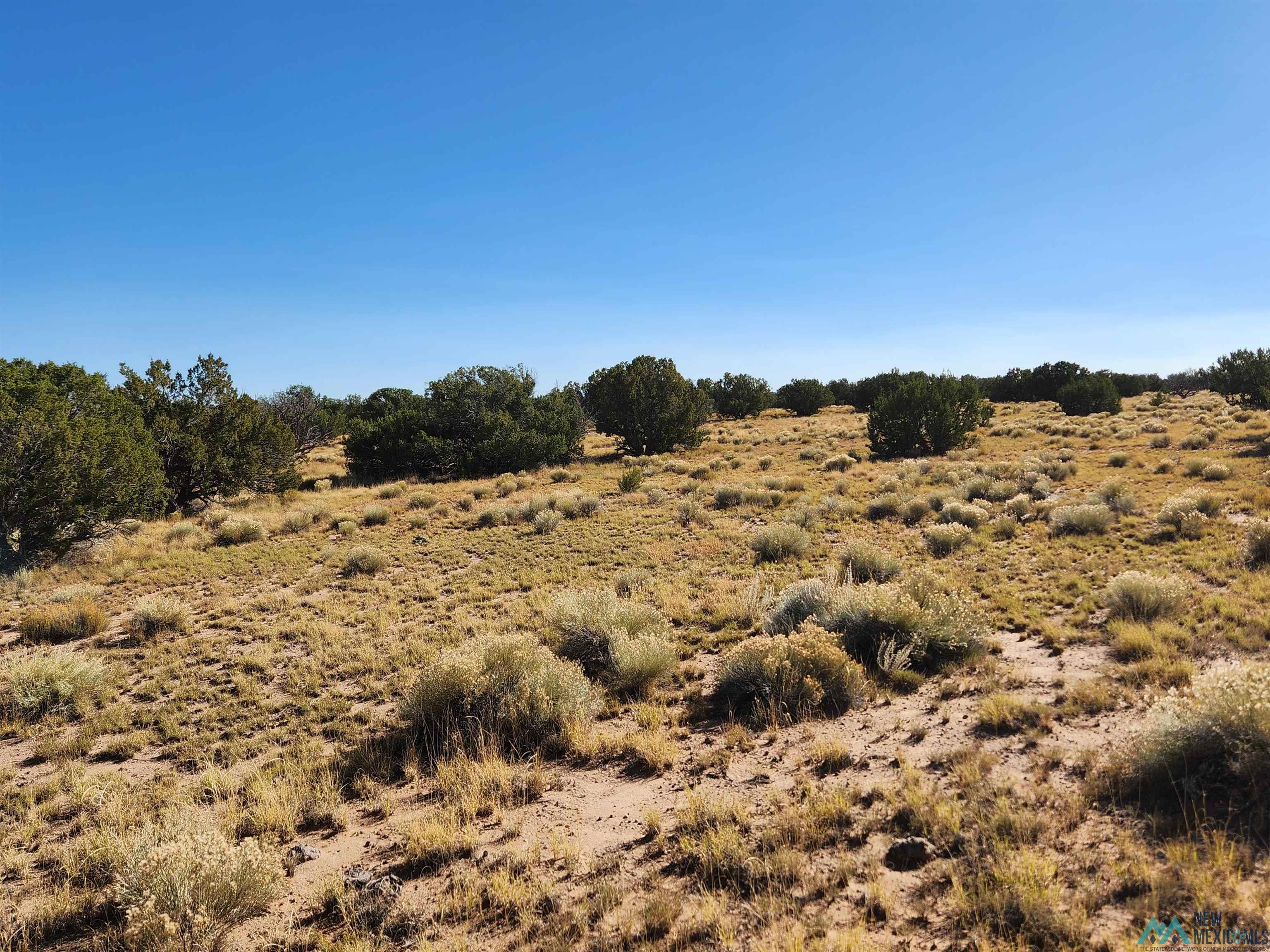 1769 St. Johns Road, Quemado, New Mexico image 46