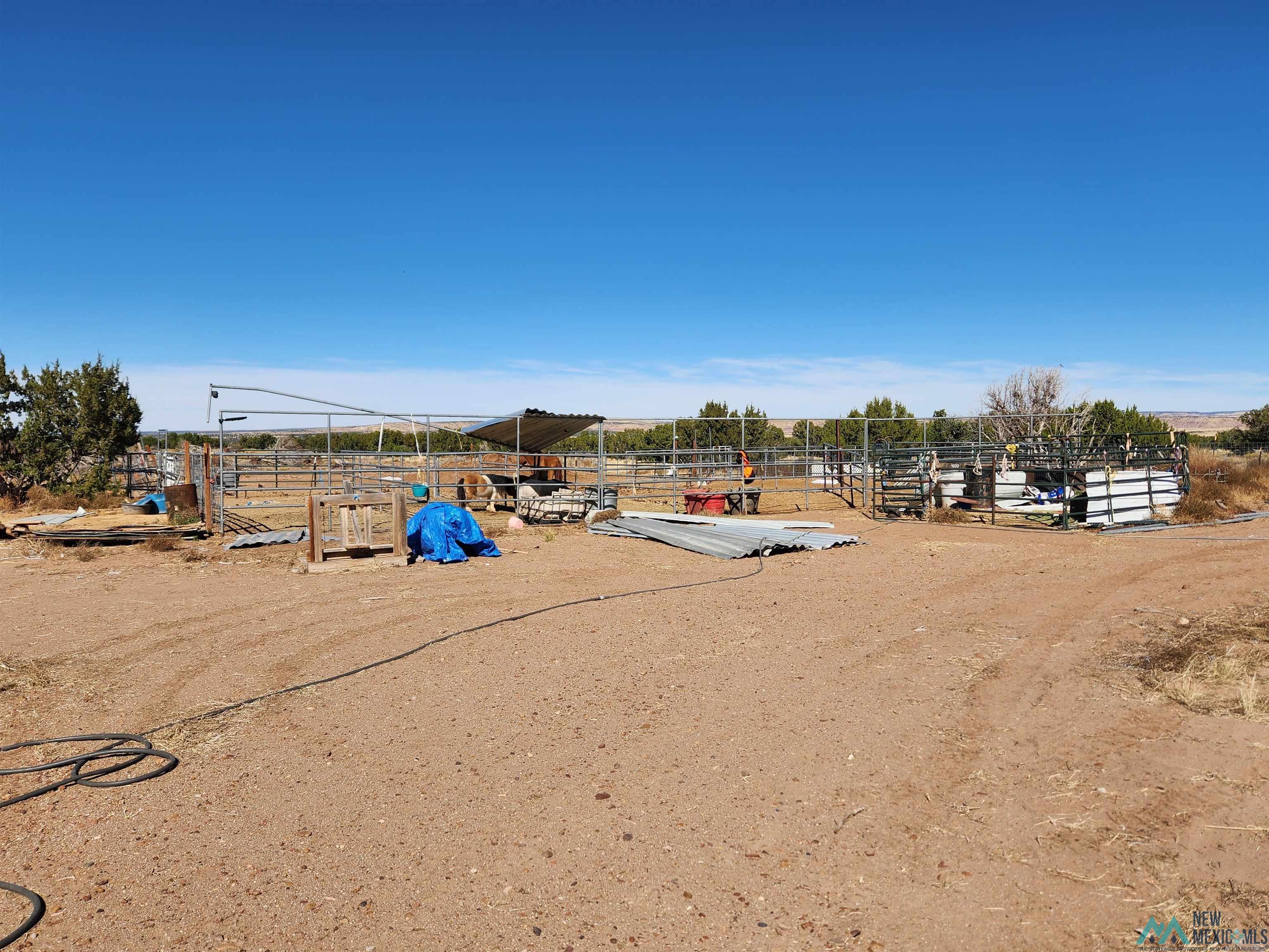 1769 St. Johns Road, Quemado, New Mexico image 28