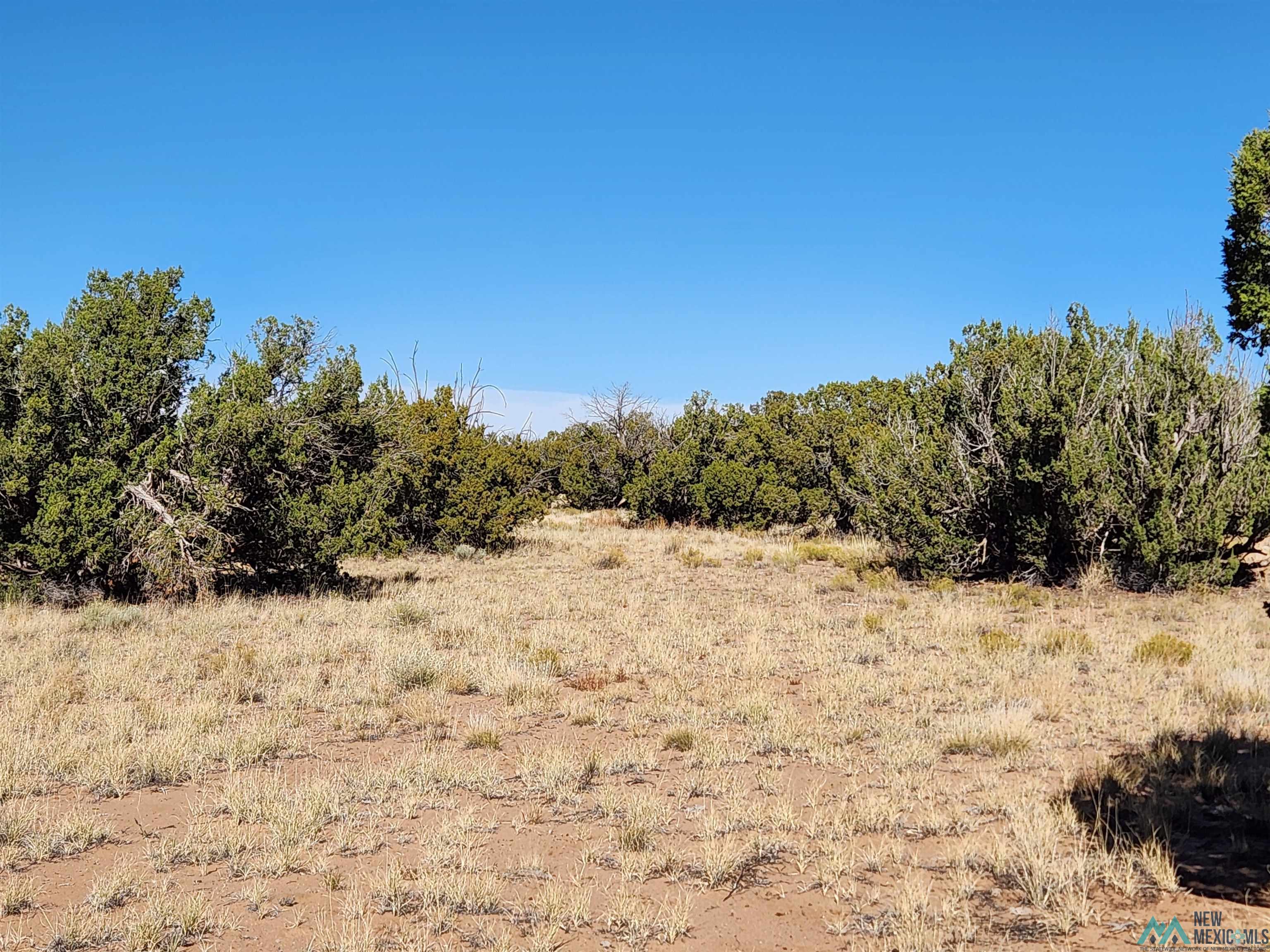 1769 St. Johns Road, Quemado, New Mexico image 45