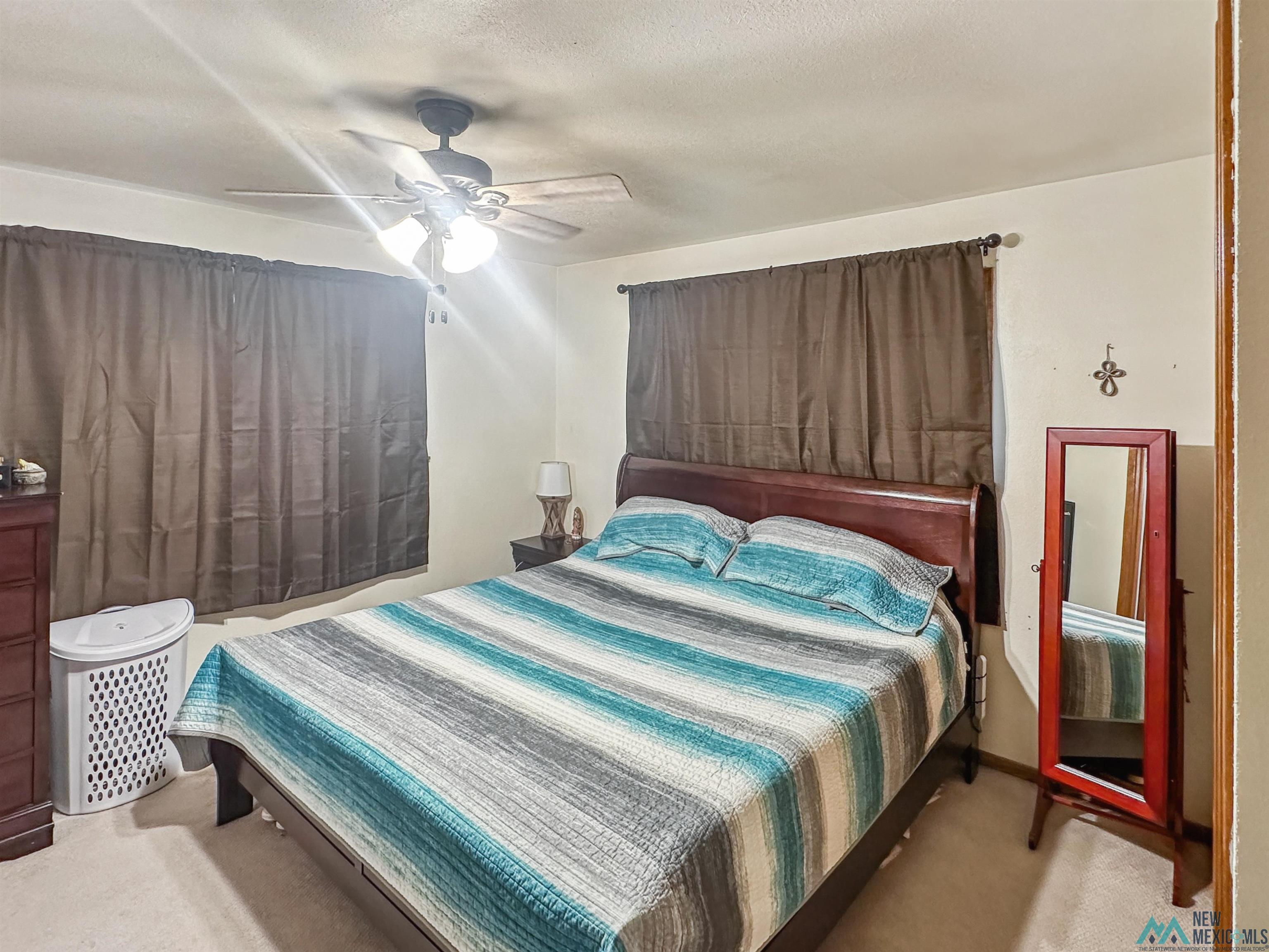 914 Albert Street, Carlsbad, Texas image 18