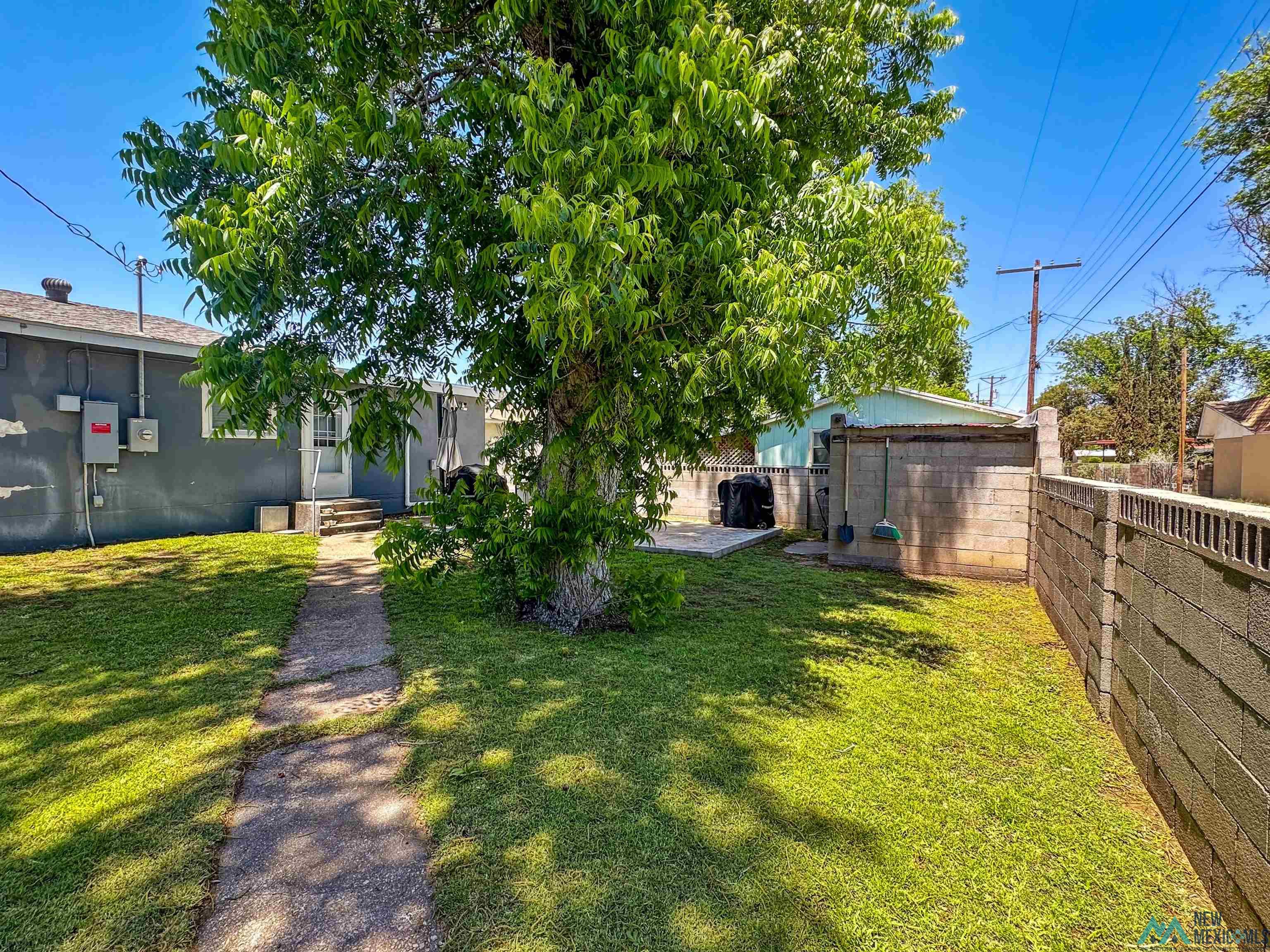 914 Albert Street, Carlsbad, Texas image 32