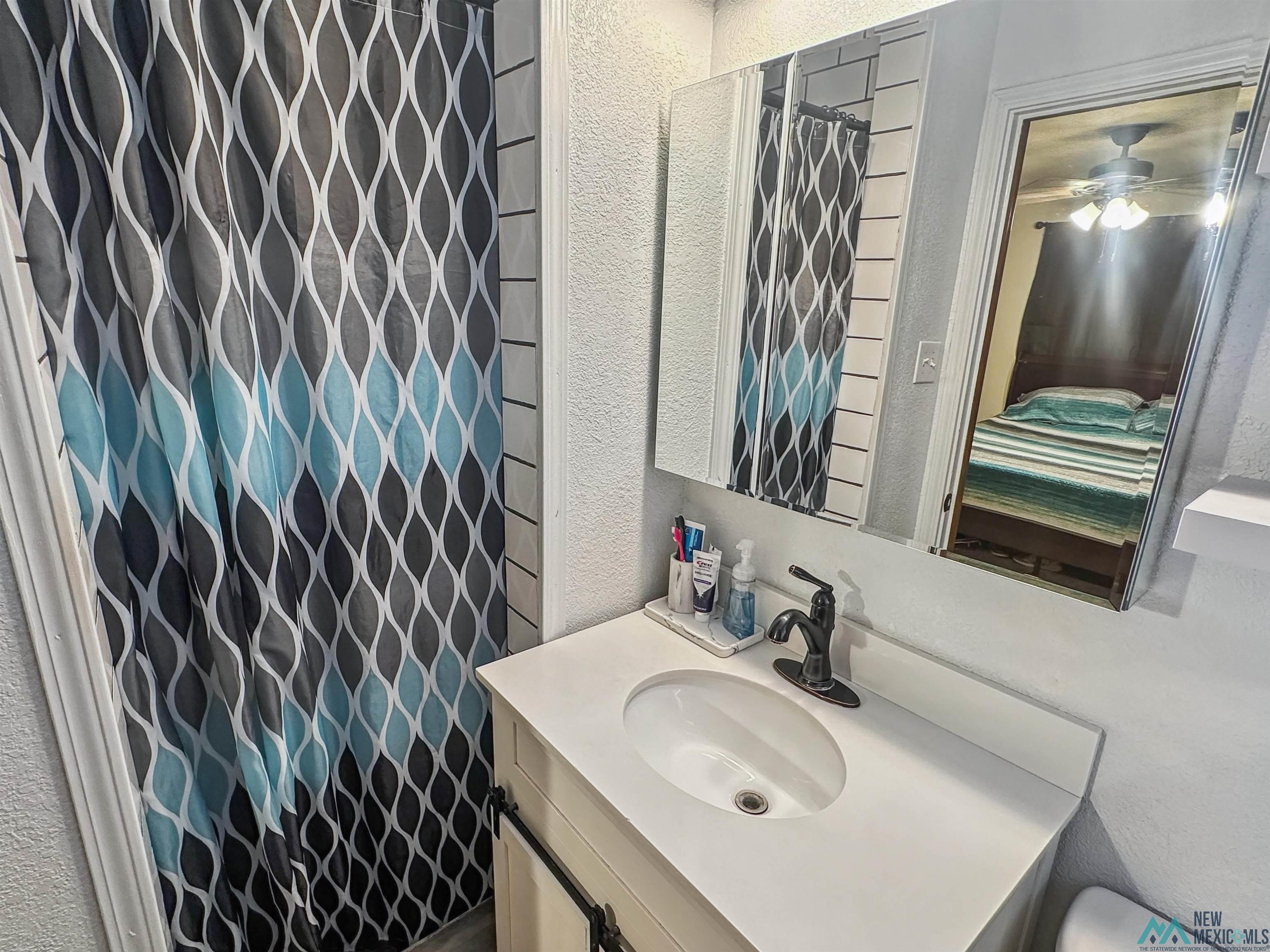 914 Albert Street, Carlsbad, Texas image 21