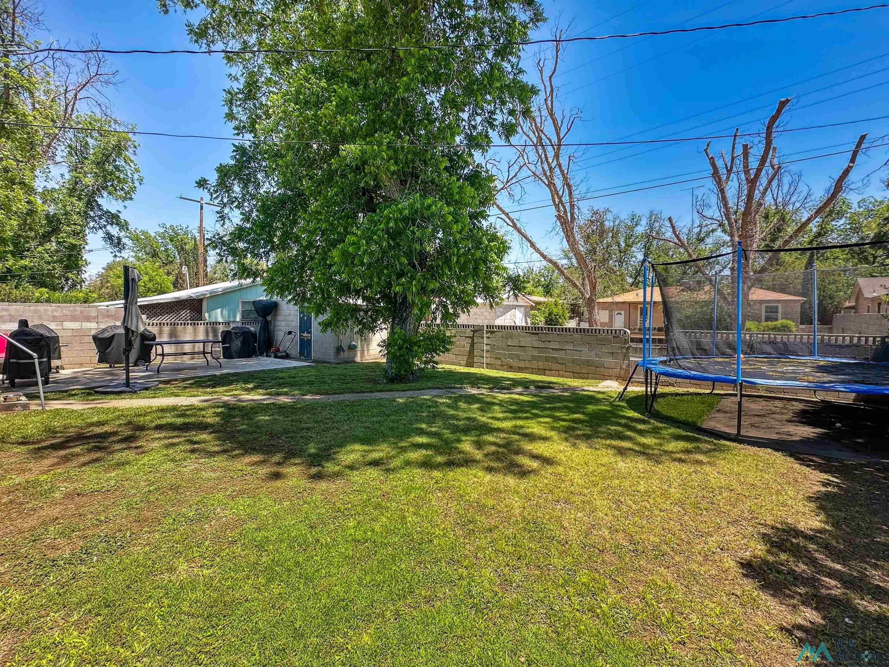 914 Albert Street, Carlsbad, Texas image 30