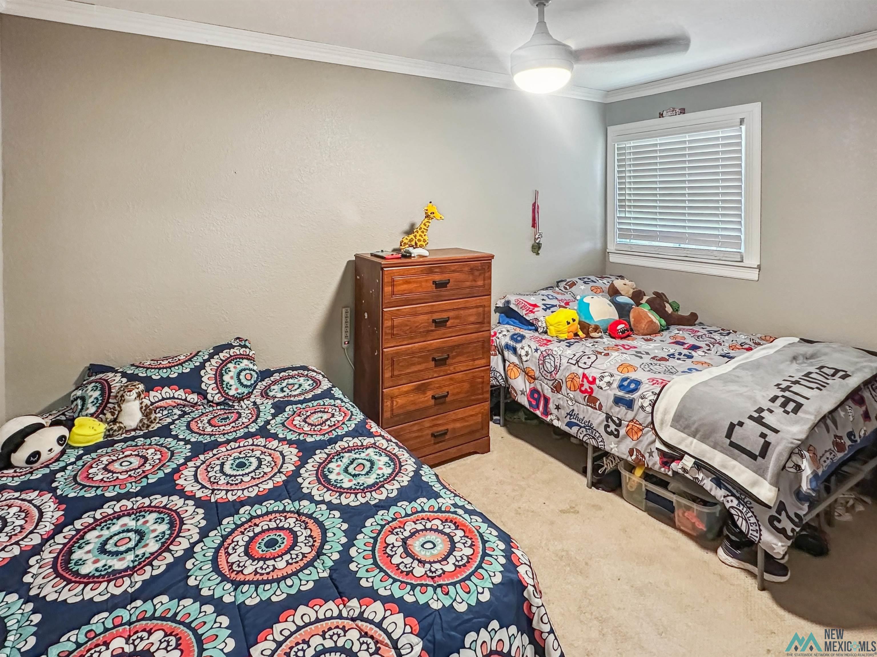 914 Albert Street, Carlsbad, Texas image 24