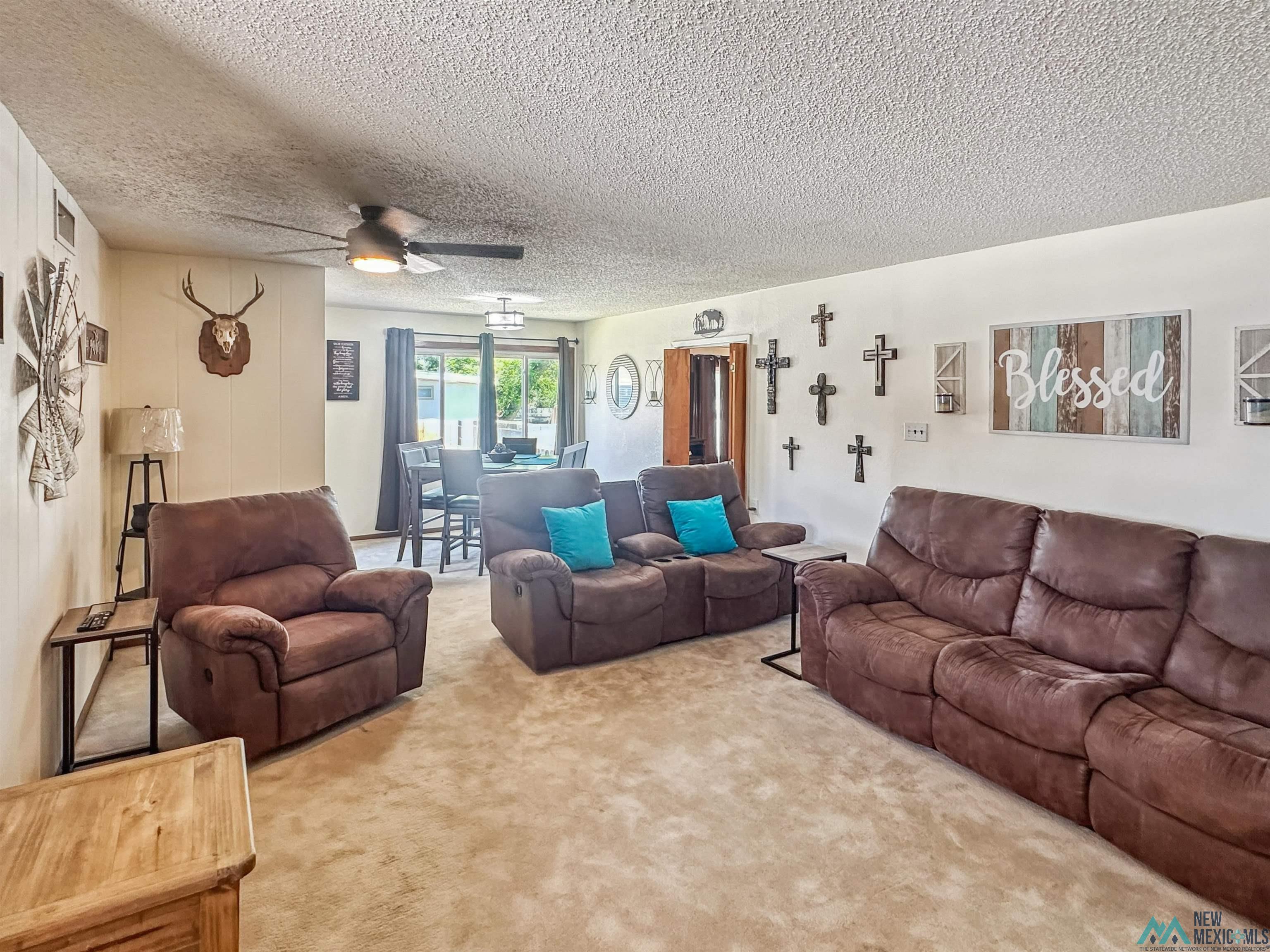 914 Albert Street, Carlsbad, Texas image 6