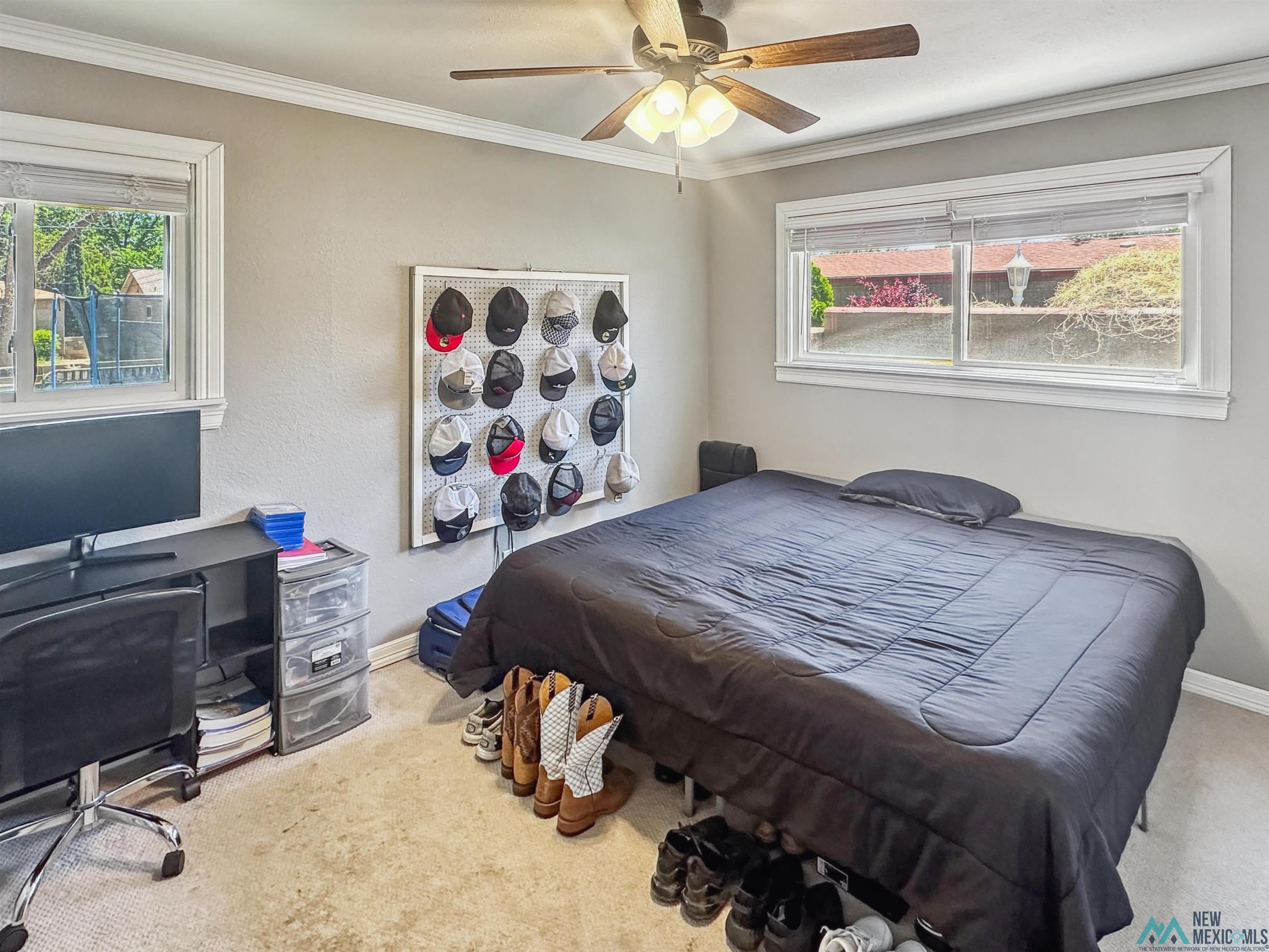 914 Albert Street, Carlsbad, Texas image 22