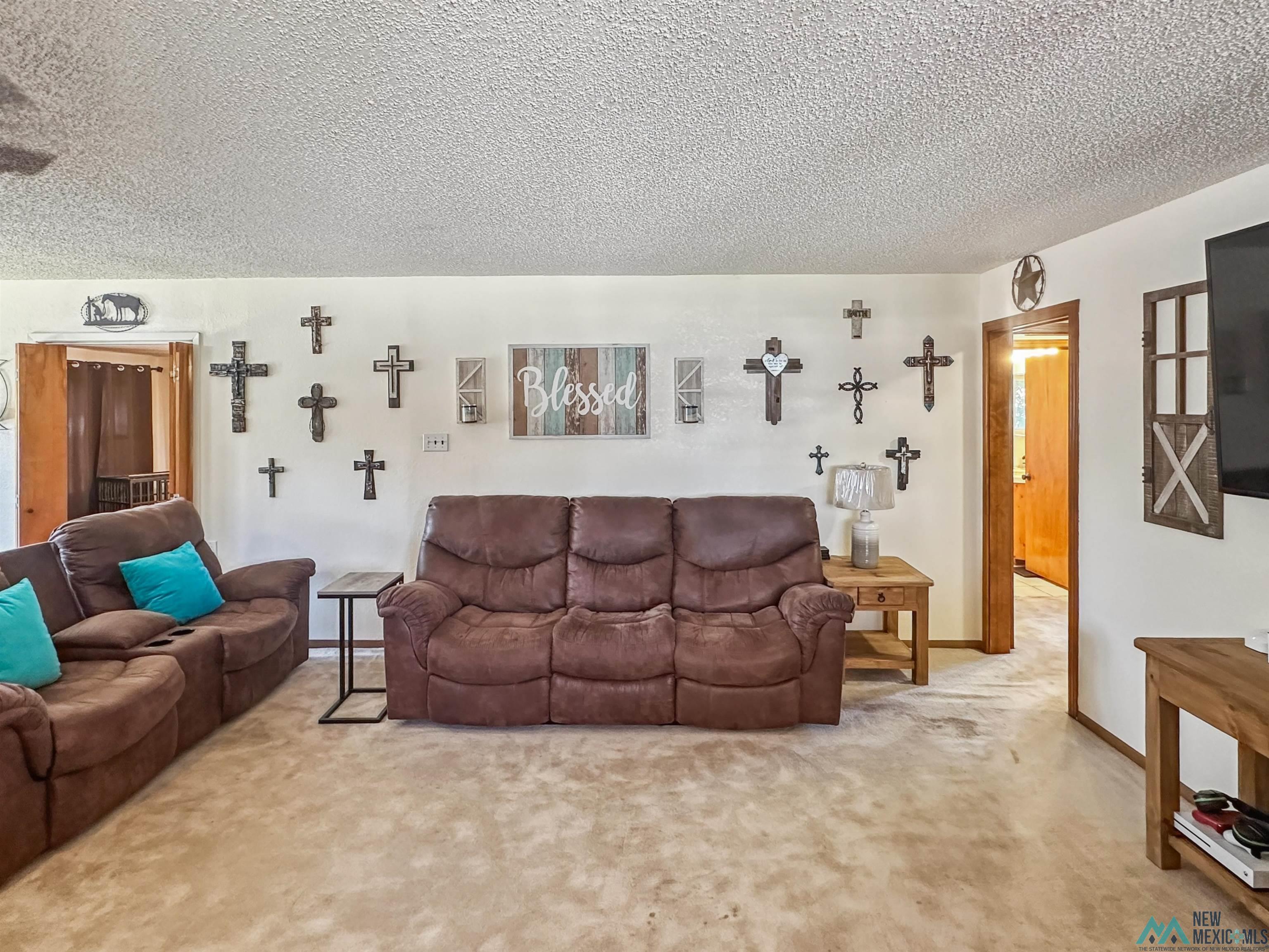 914 Albert Street, Carlsbad, Texas image 7