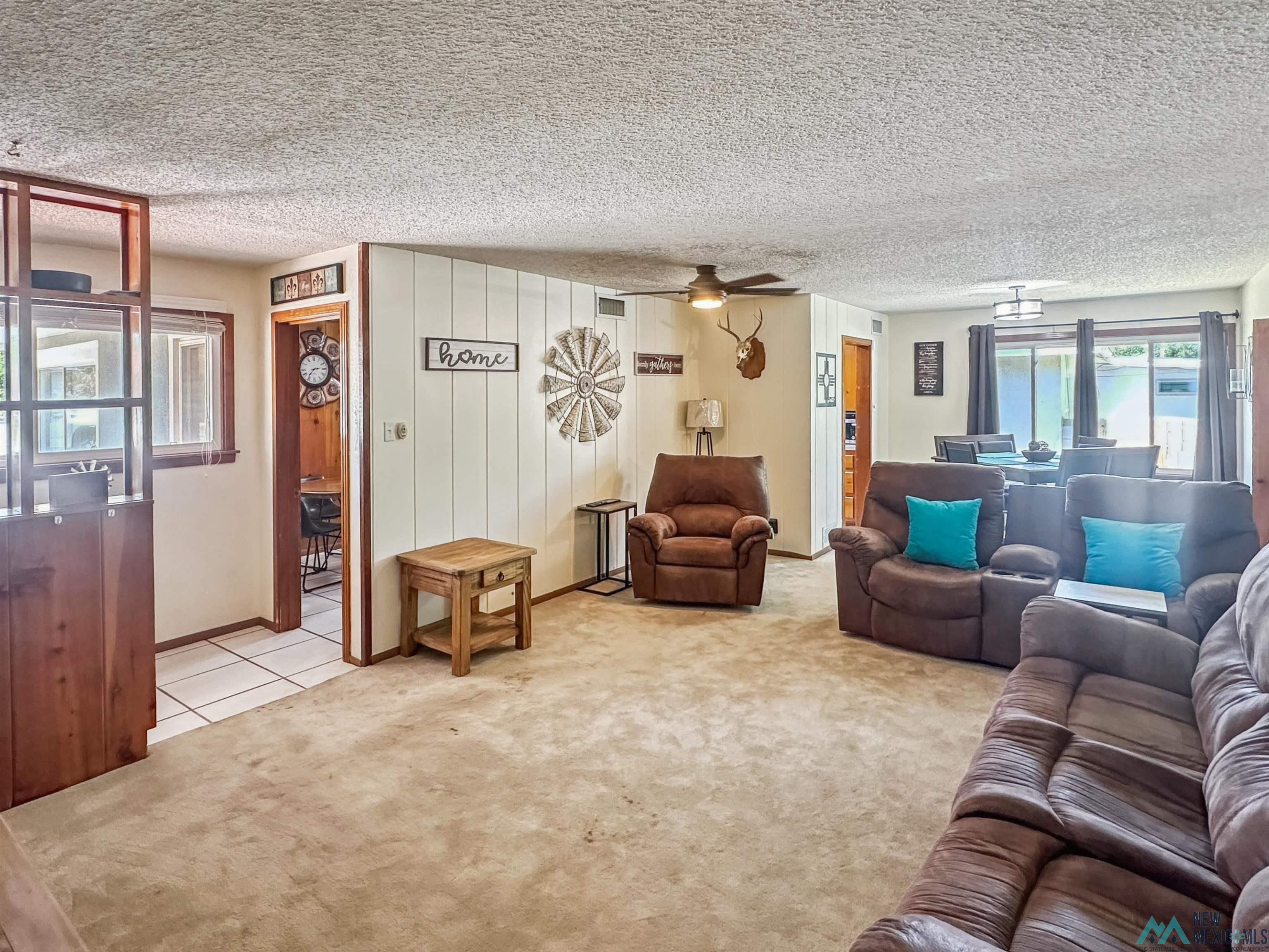 914 Albert Street, Carlsbad, Texas image 8