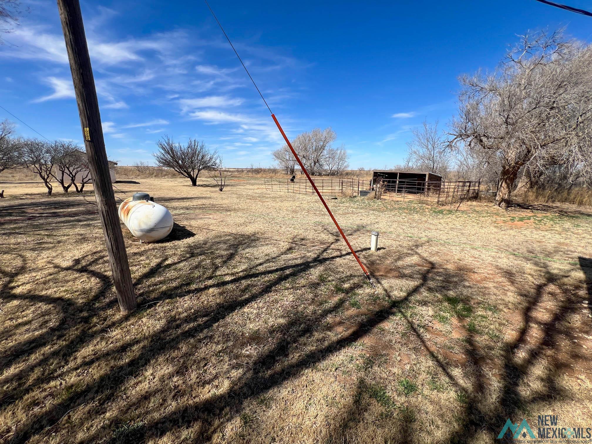 2242 S Roosevelt Road 9 Road, Portales, New Mexico image 9