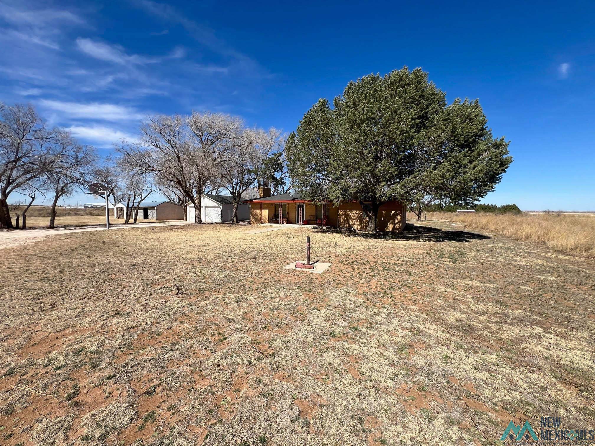 2242 S Roosevelt Road 9 Road, Portales, New Mexico image 3